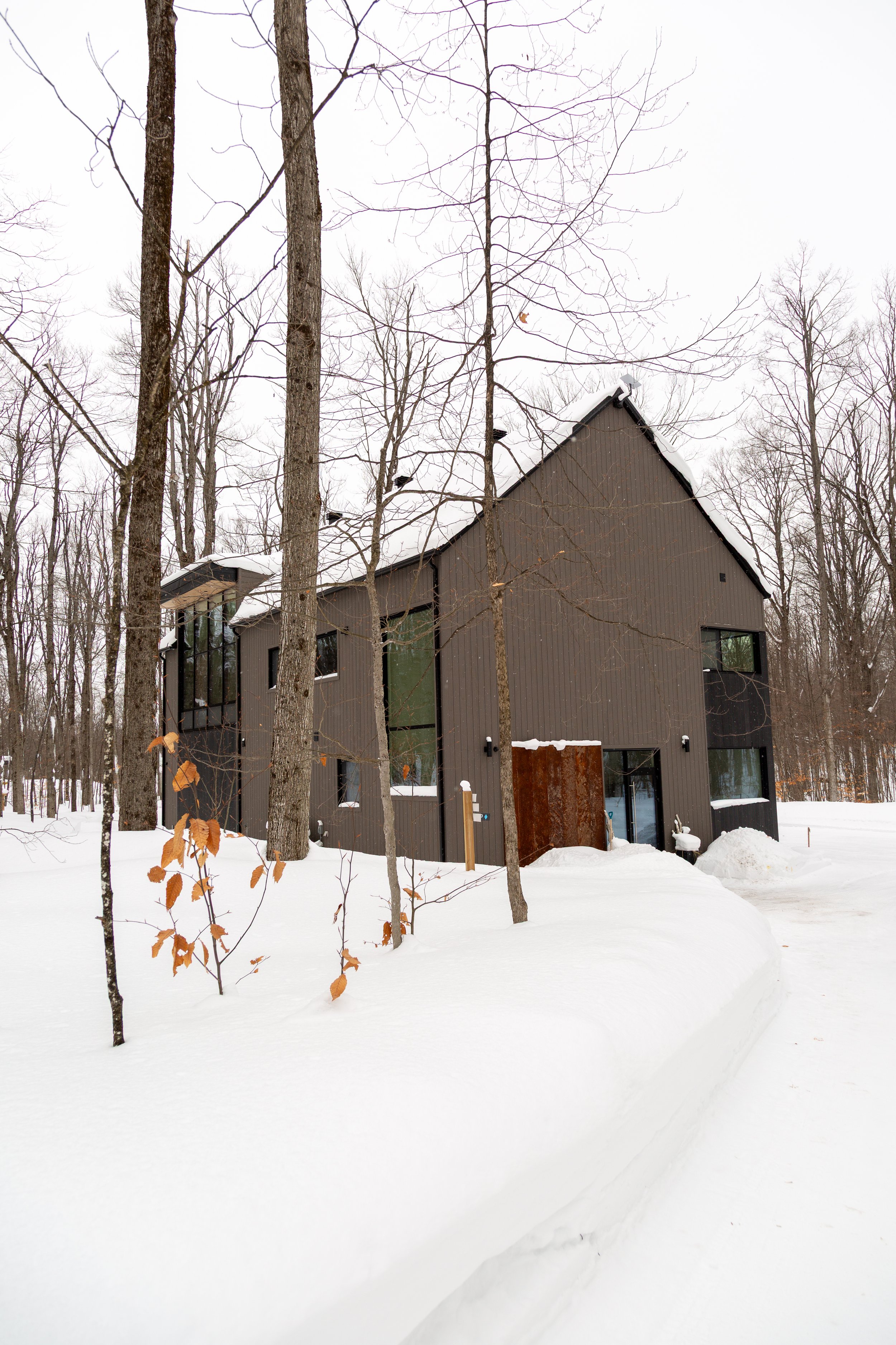 1 Winter Vicki-Tree-winter-04.jpg