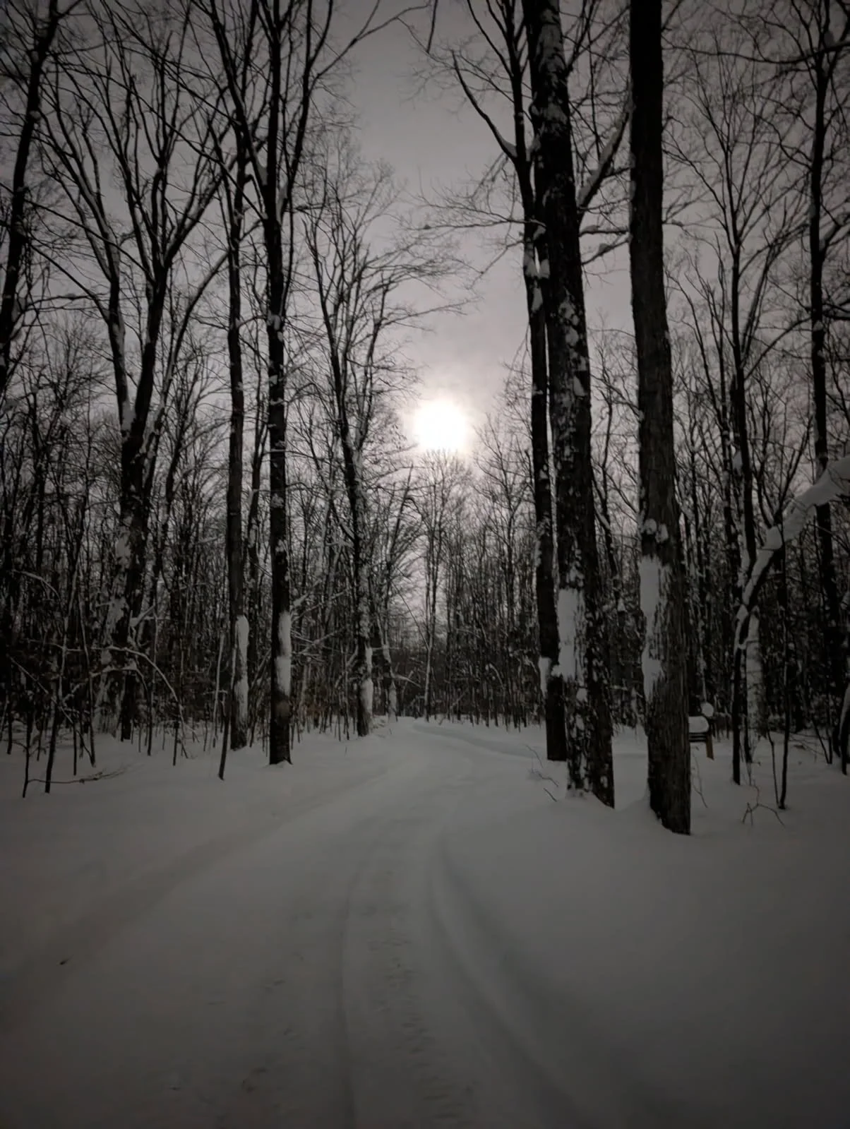 1 love winter driveway.jpg