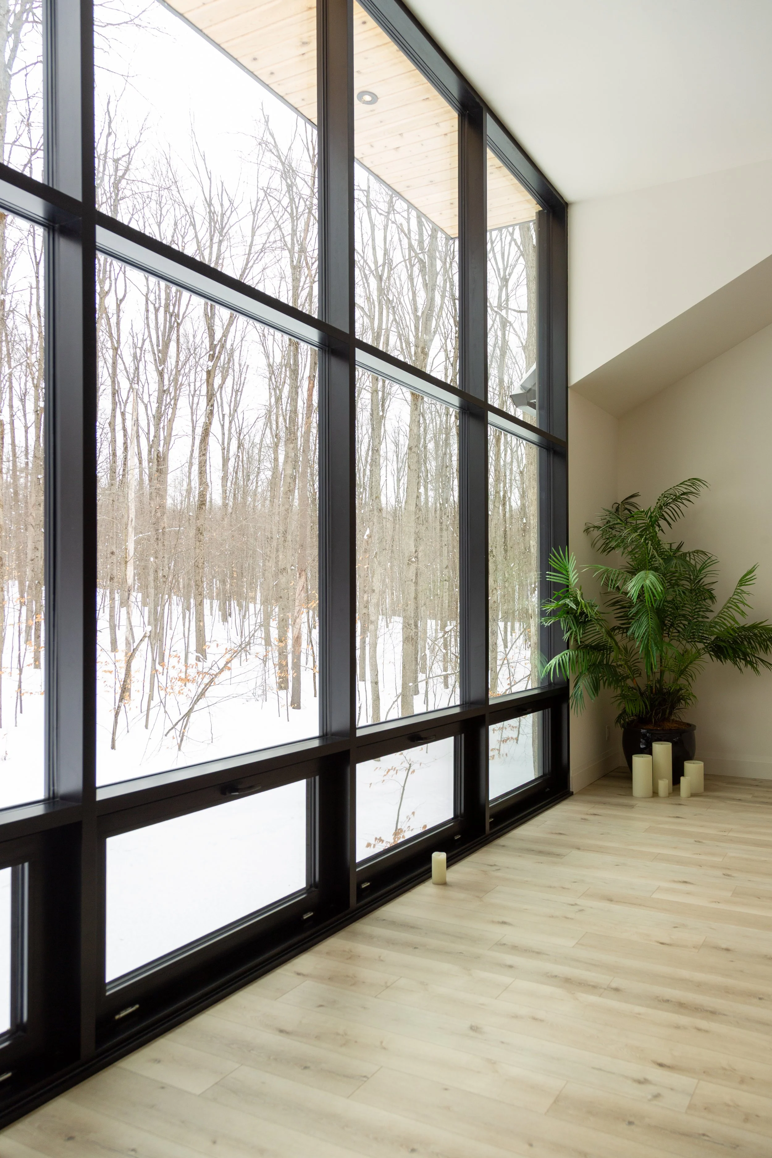 1 window Vicki-Tree-winter-37.jpg