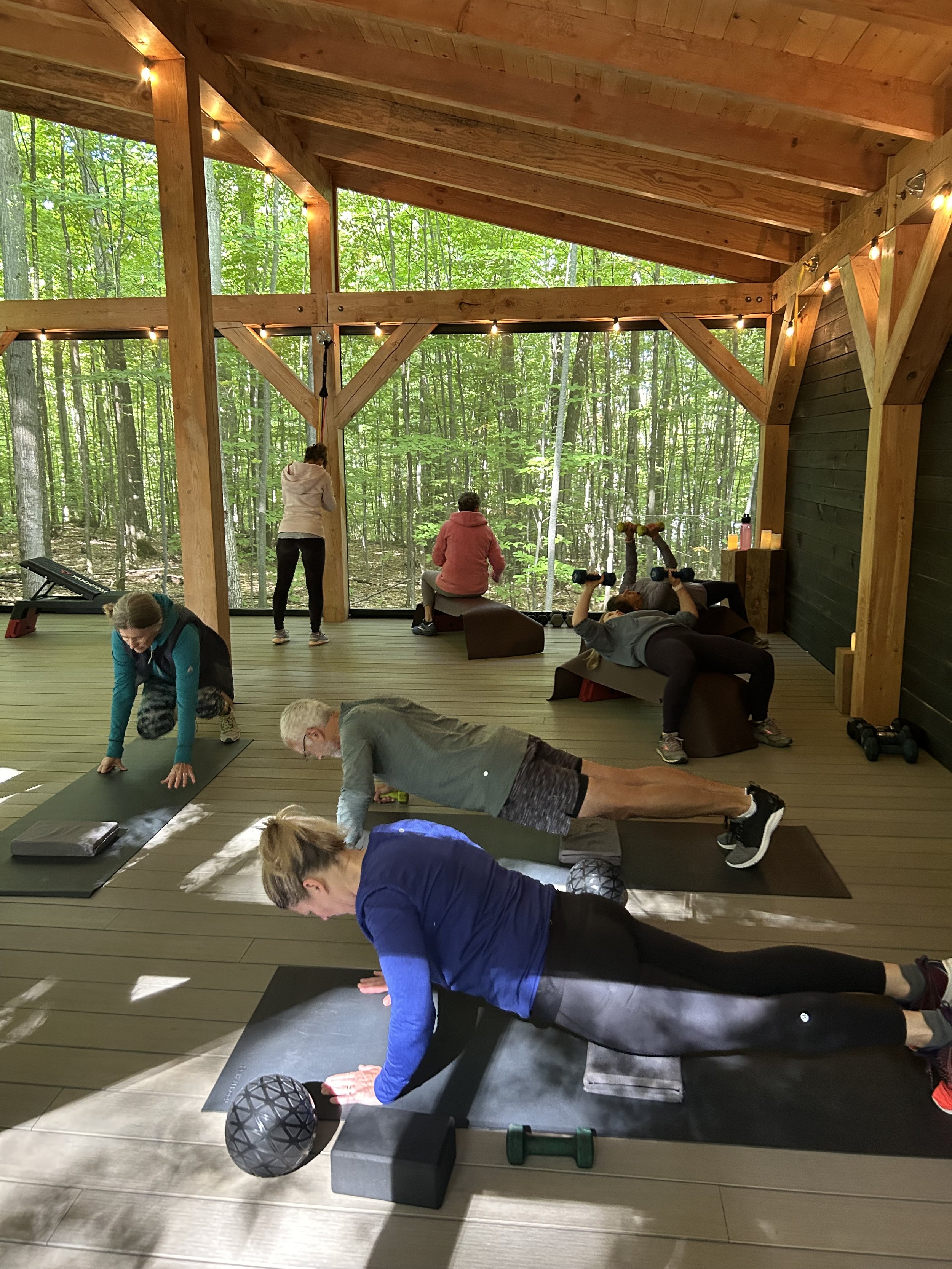 Sculpt and Core — VICKI TREE WELLNESS