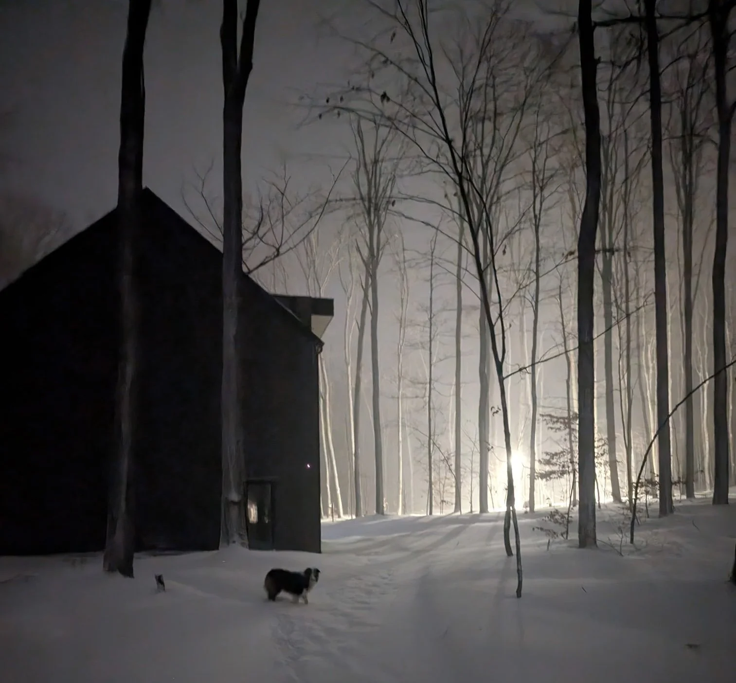 1 A Wow Winter stunning side viewjpg.jpeg