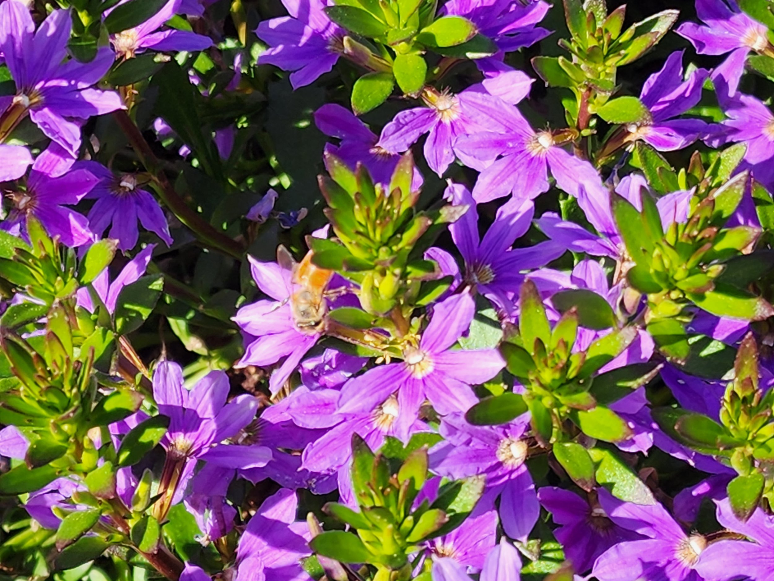20230930_152032.jpg