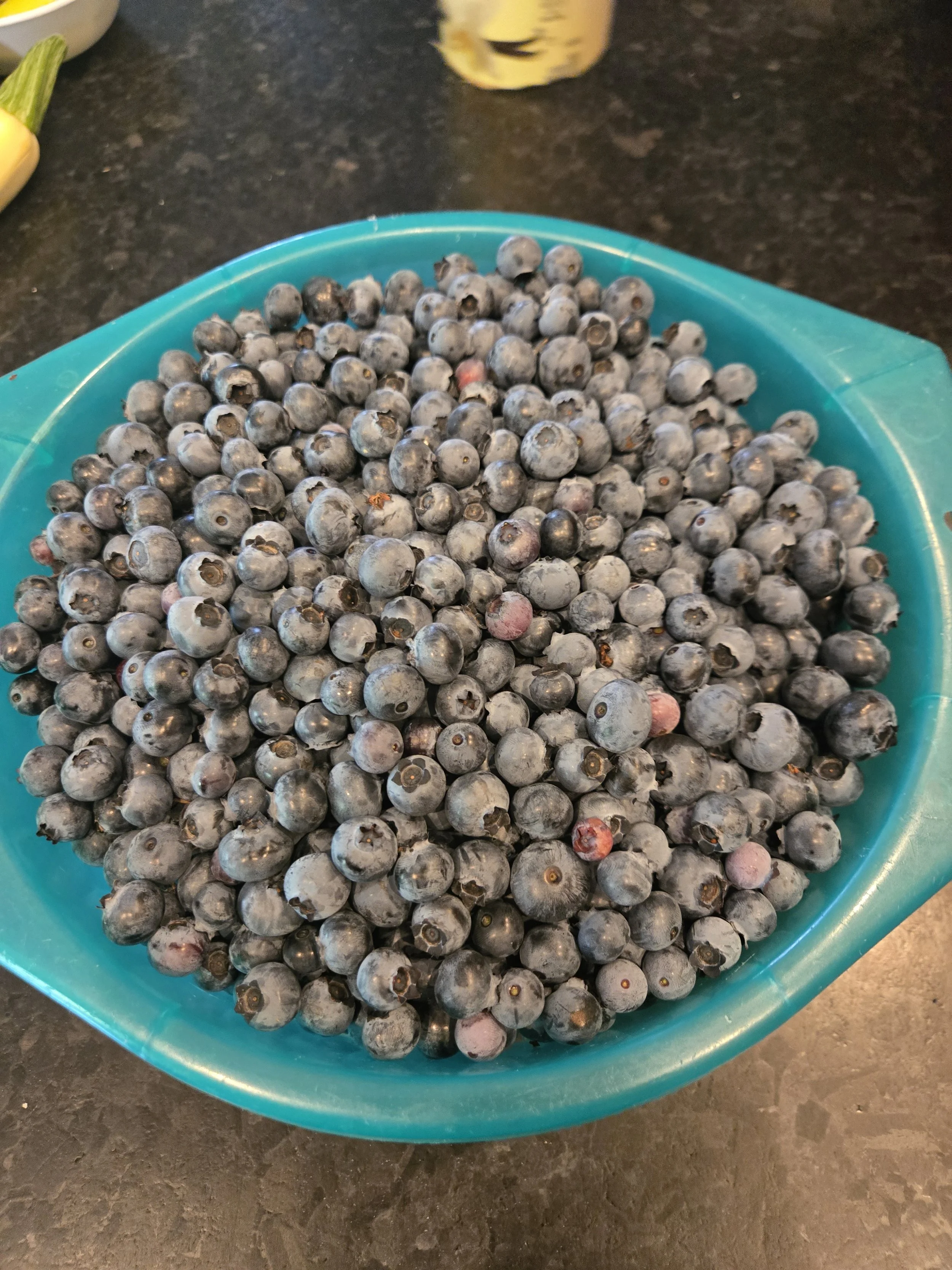 Blueberries