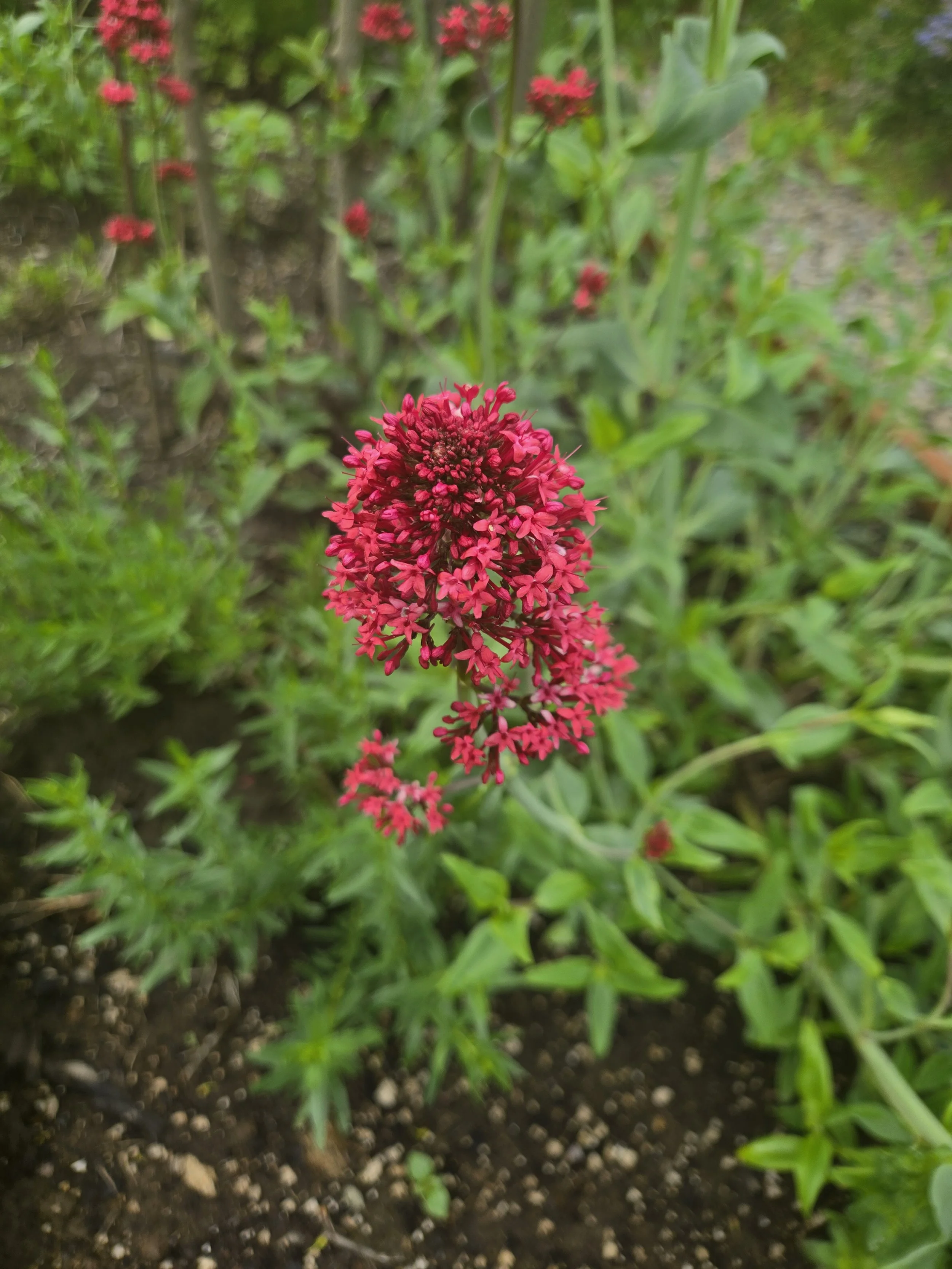 20260516_143233.jpg