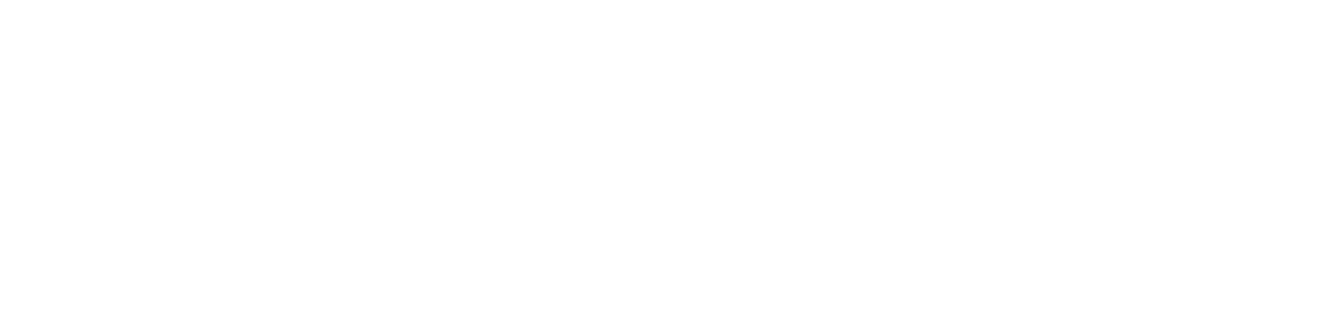 Spring Digital Consulting