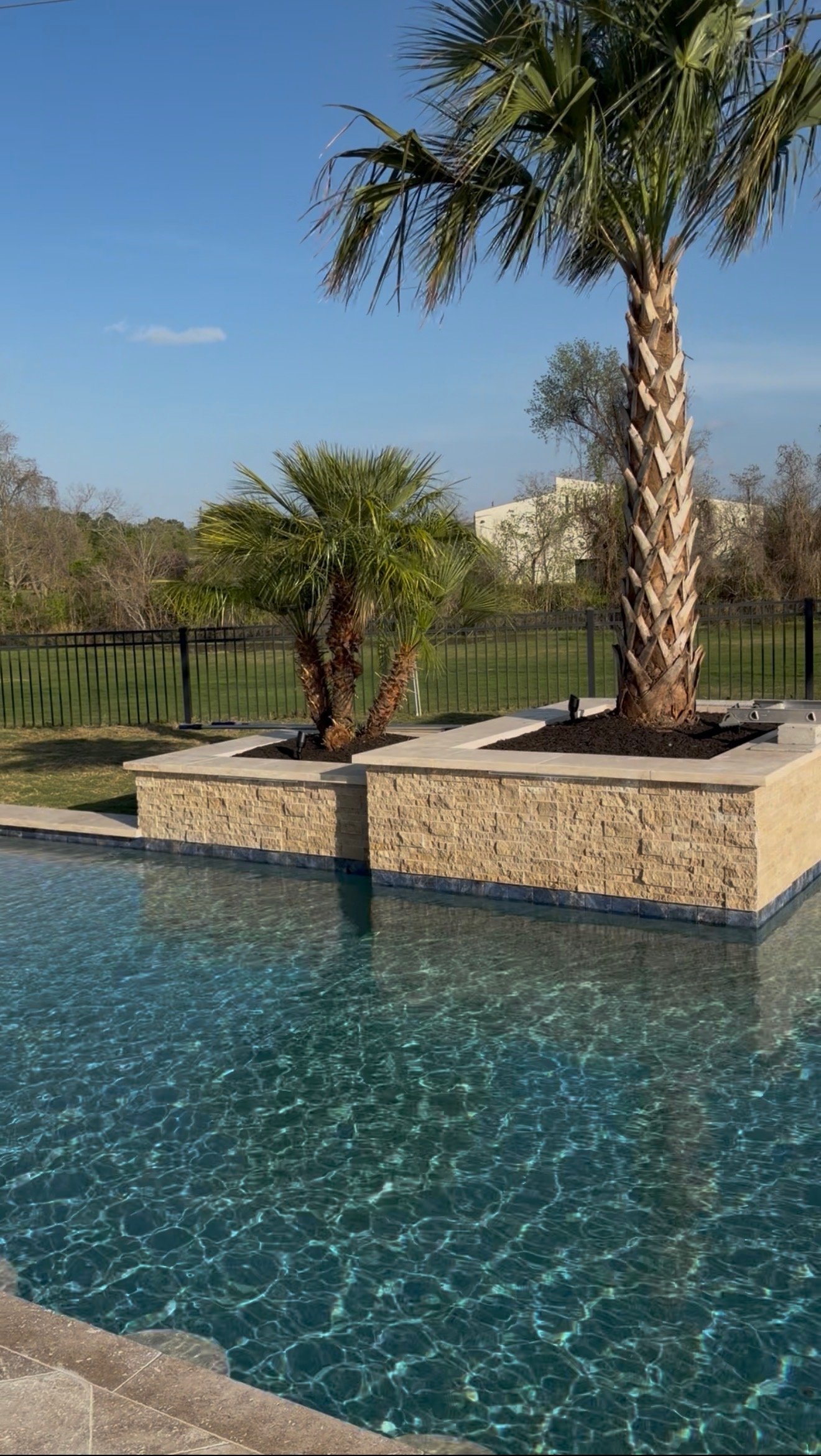 A swimming pool with clear blue water, bordered by a stone edge. Behind the pool, there are two palm trees planted in raised stone planters, with a metal fence and trees with bare branches in the background under a blue sky.