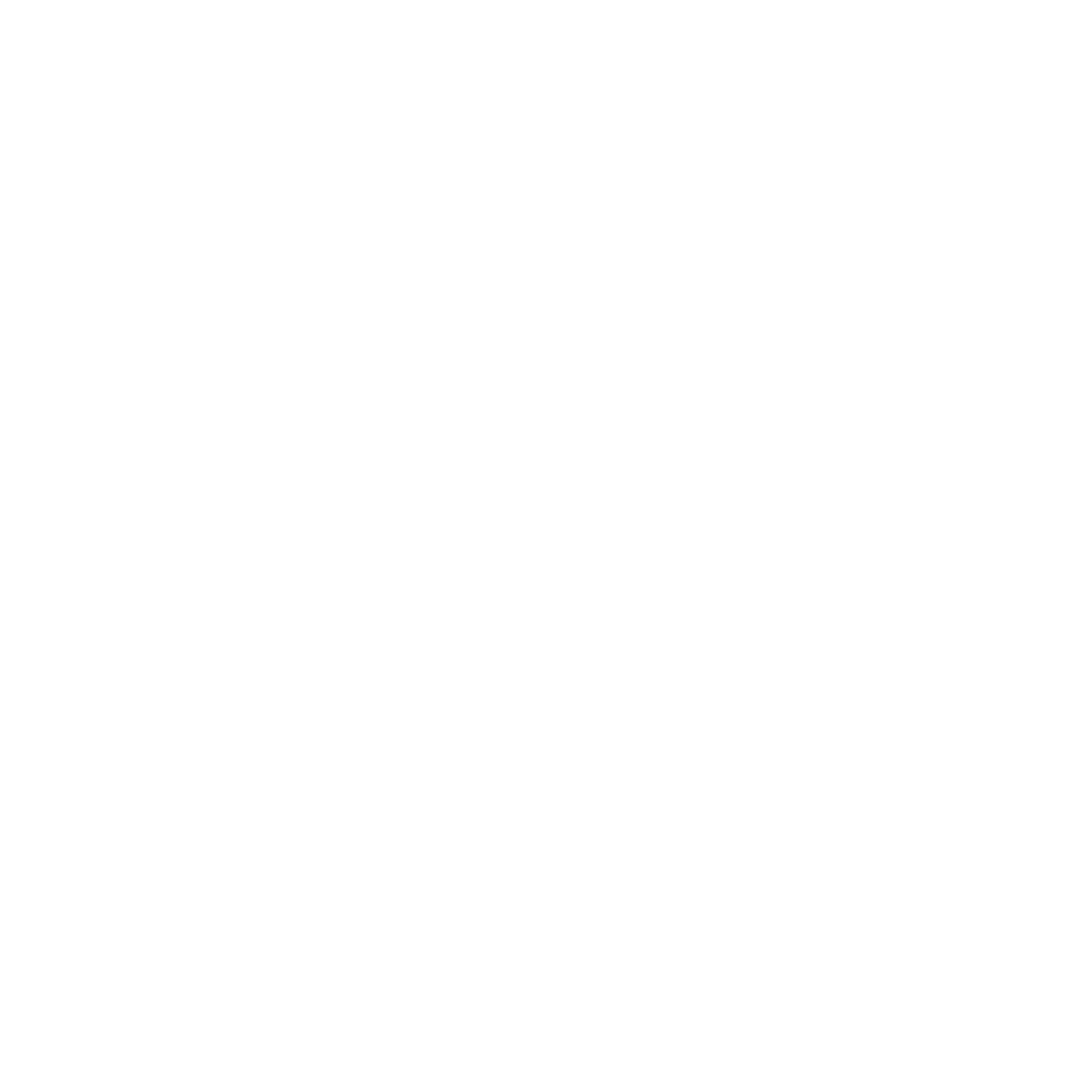 Sacro Occipital Technique (S.O.T.)