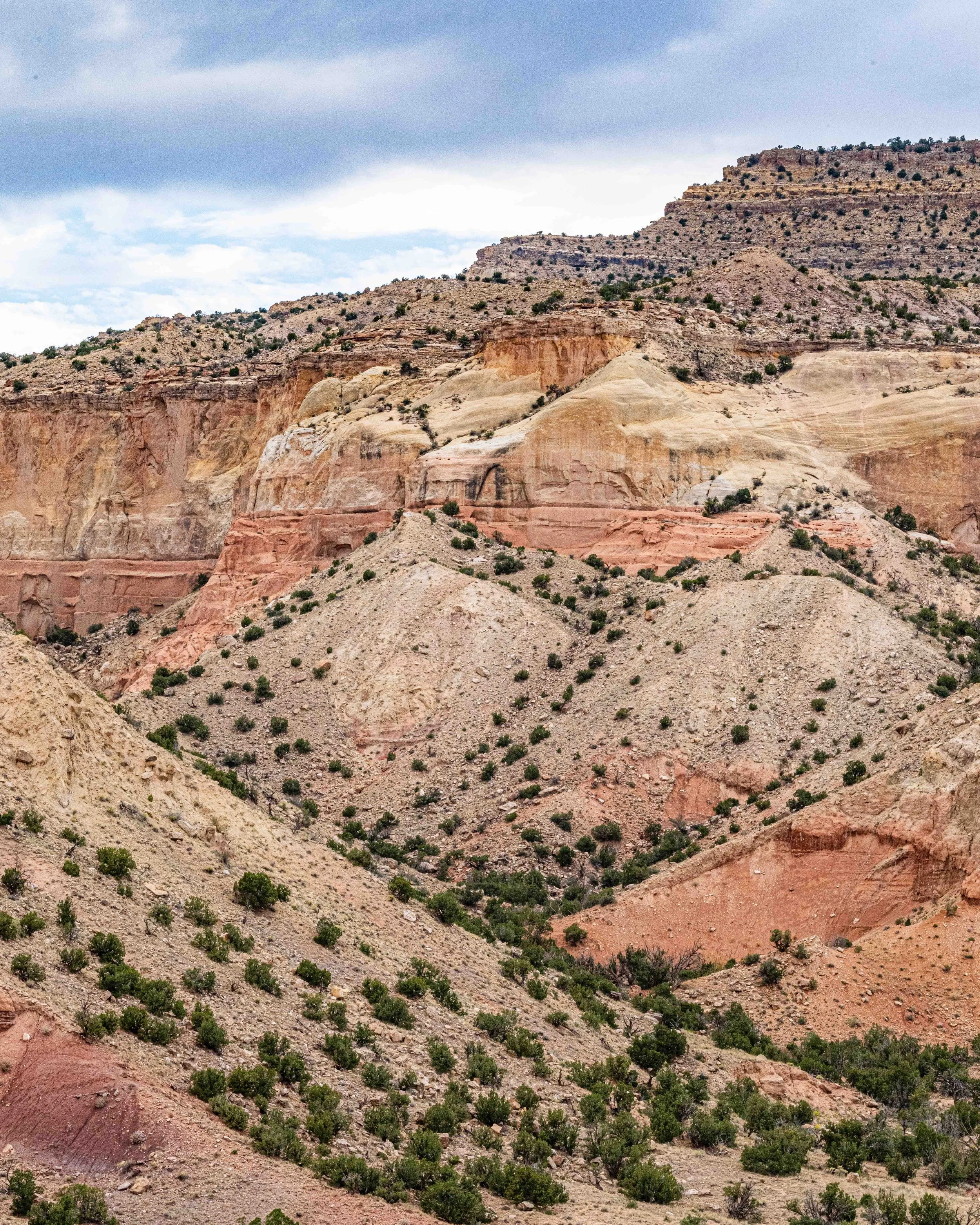 crystralline light provides clarity on the hillside at Ghost Ranch