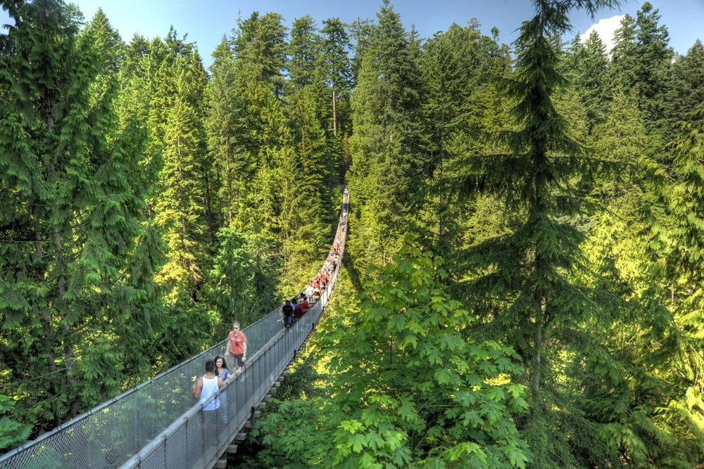 bridge-hdr-final.jpg