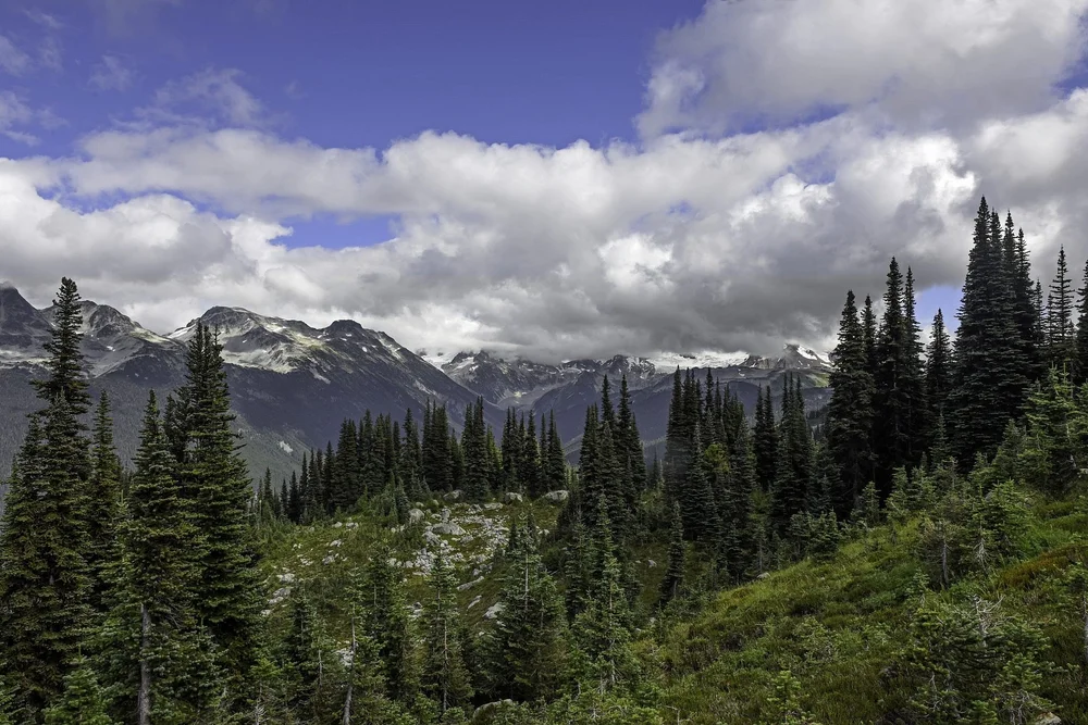 LIGHTROOM-3.jpg