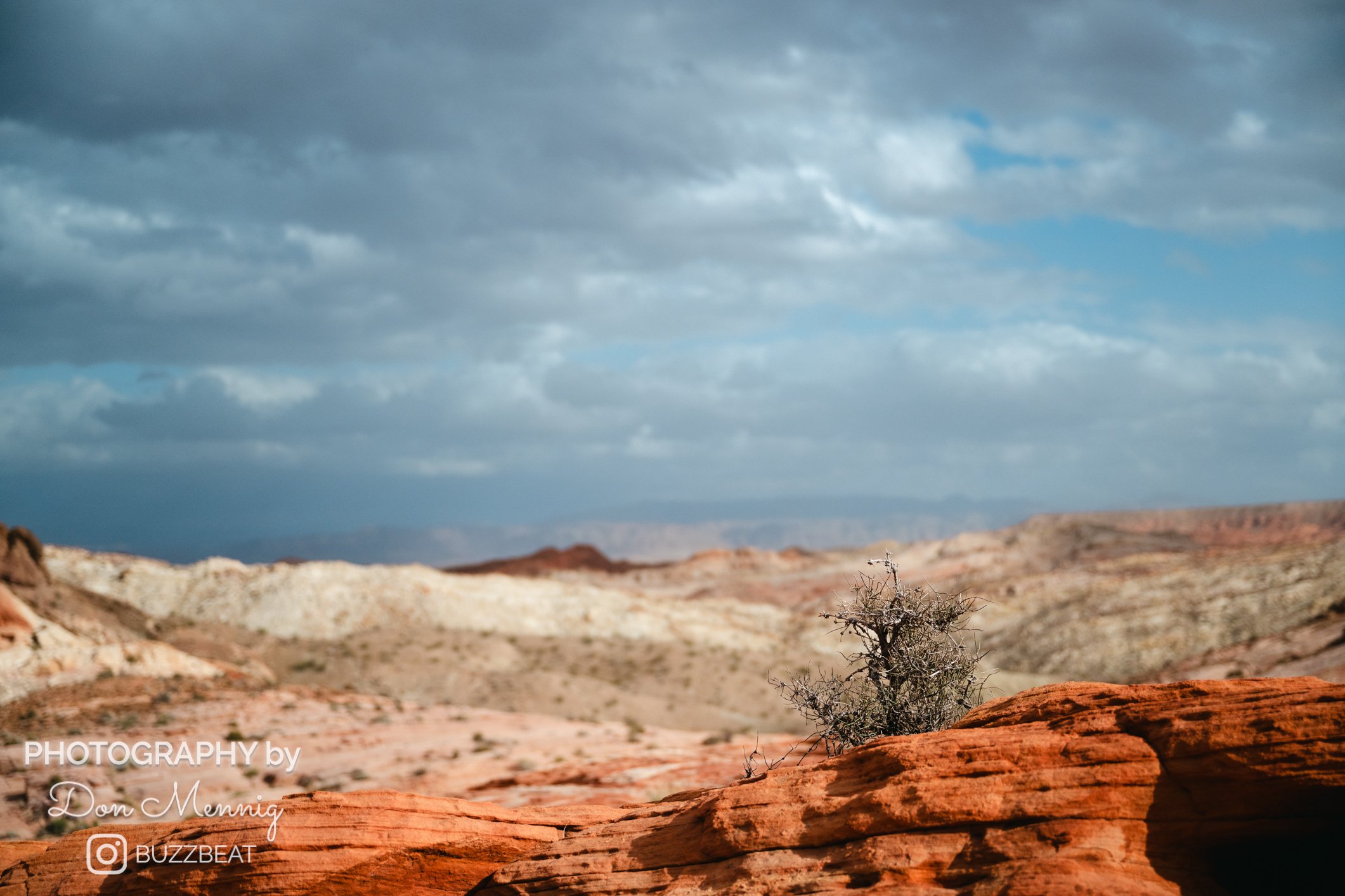 red wave hike valley of fire insta WM-24.jpg