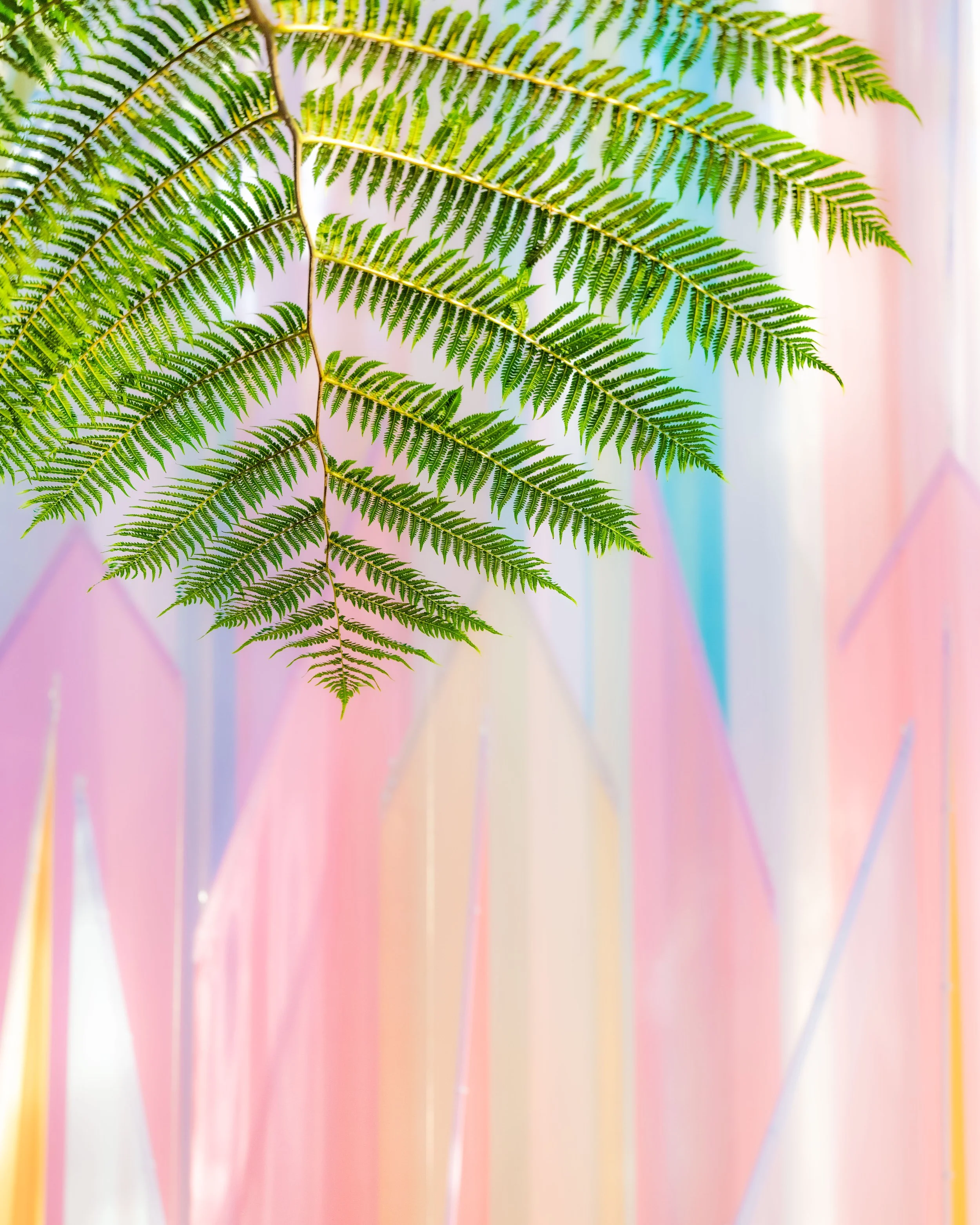 2025 Longwood Gardens Exhibition Hall fabric tree with fern detail.