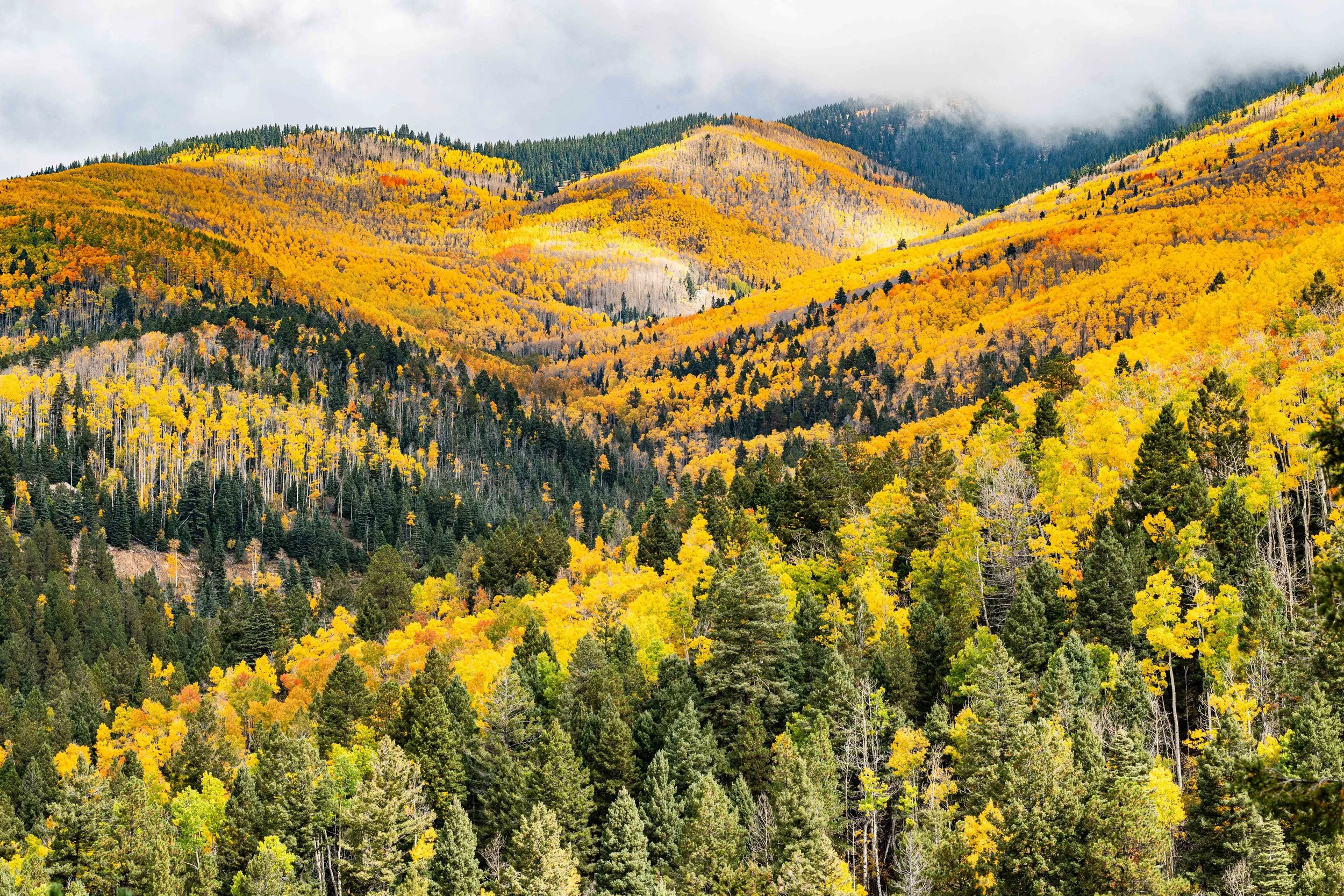 Mountianscape view of the Santa Fe National Park aspens below Aspen Vista trail