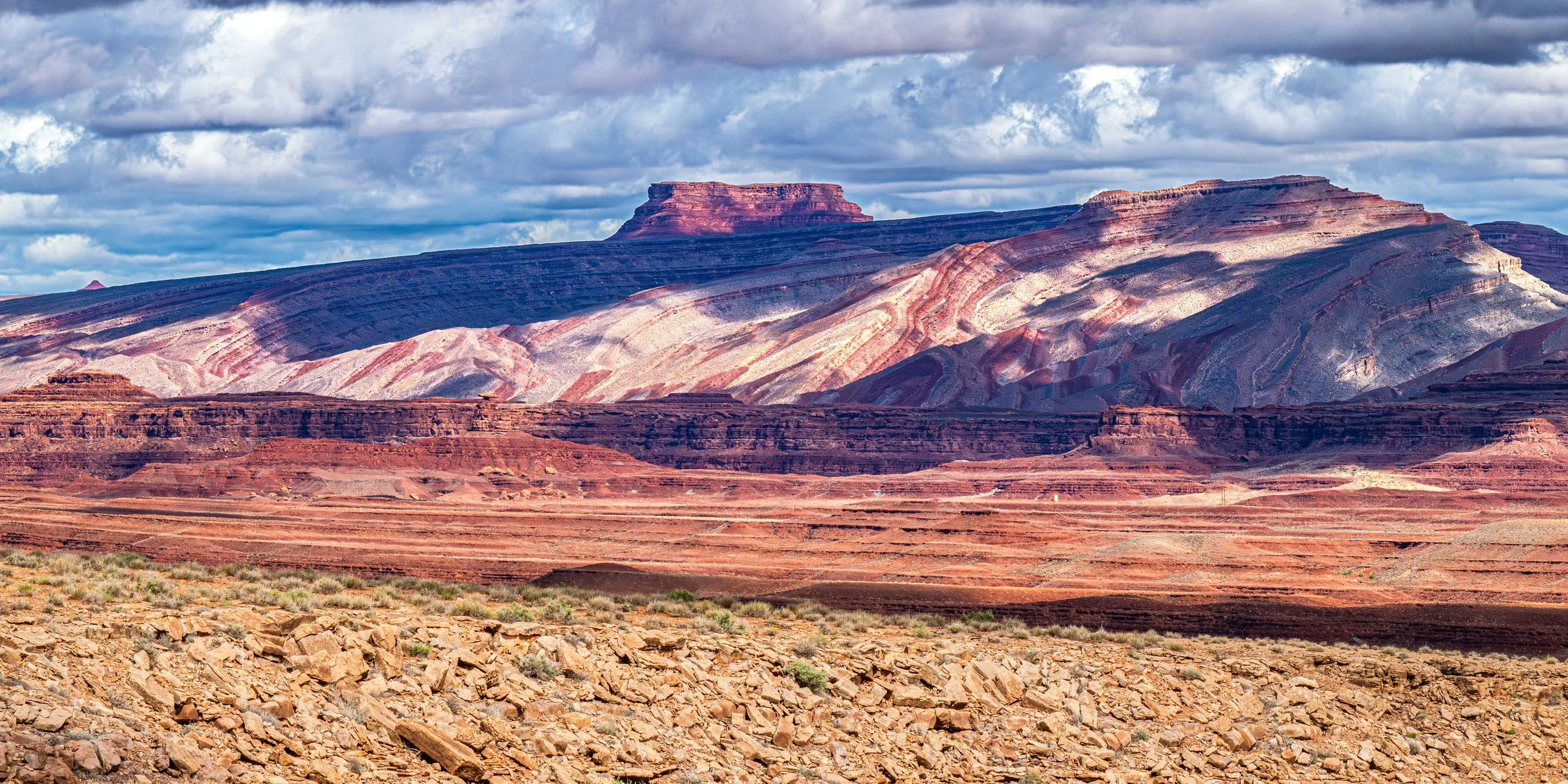 The Raplee Aticline along Rte. 163 near Mexican Hat
