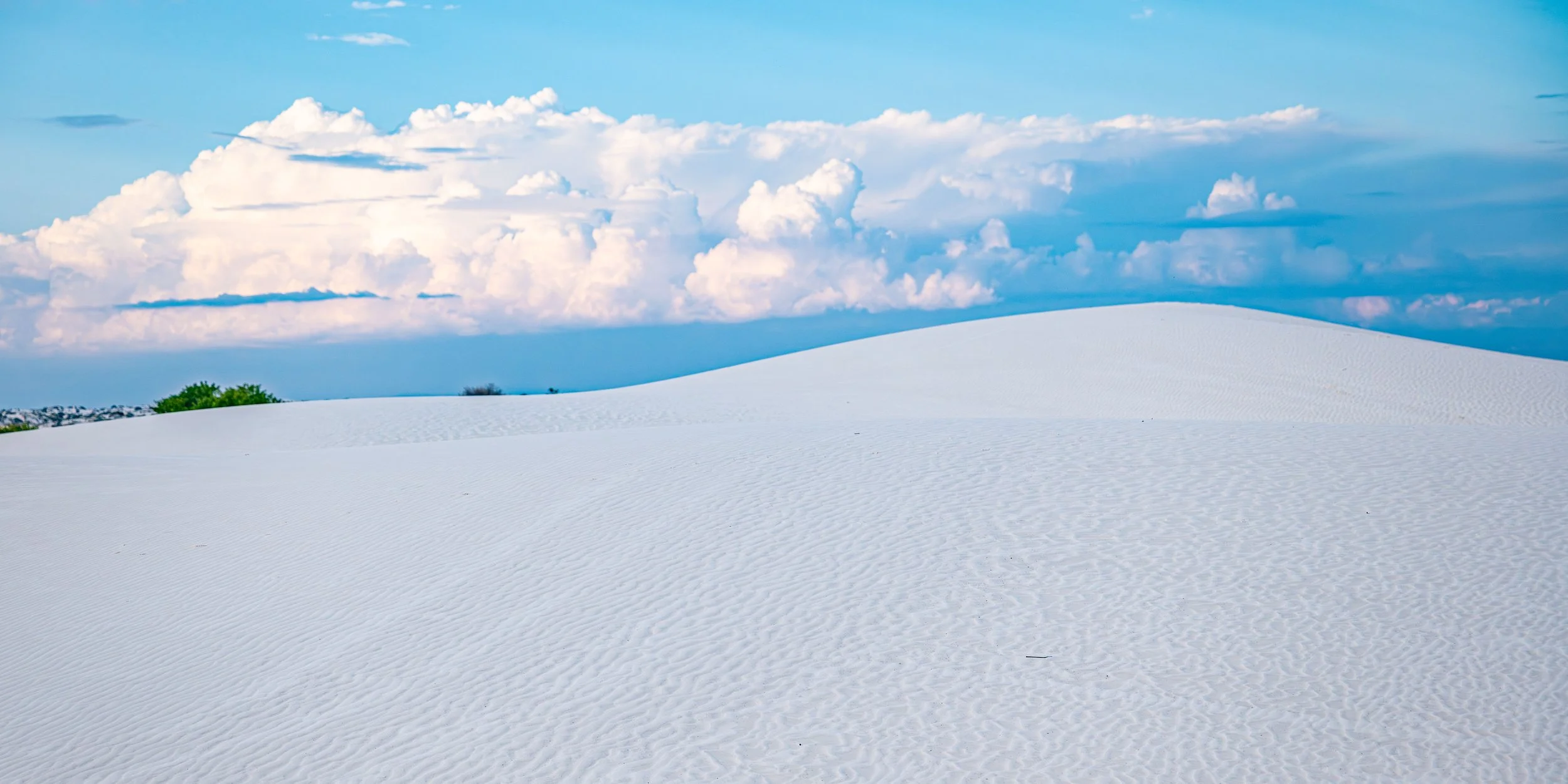 Green brush on the top of a gypsum dune at White Sands national Park