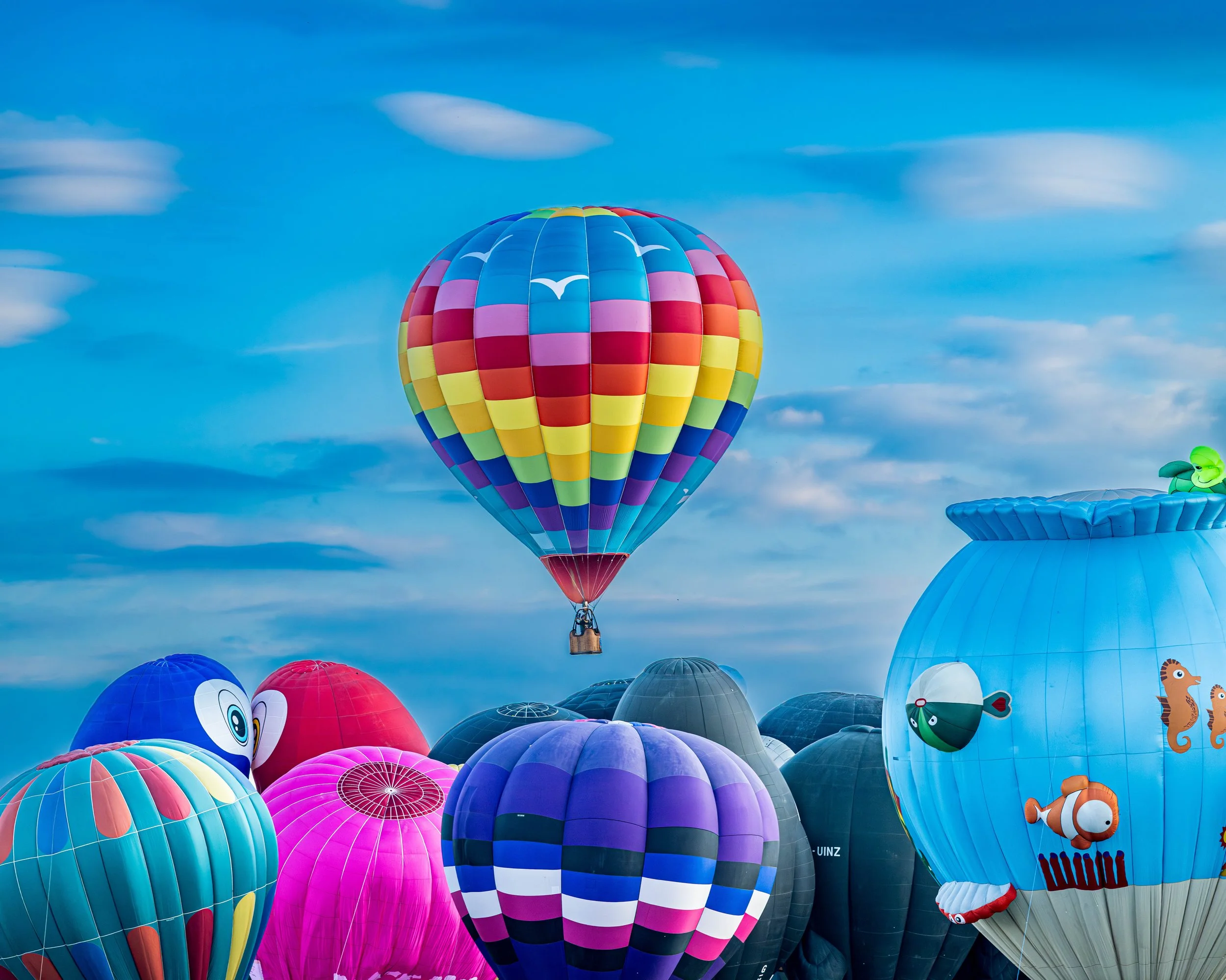 Albuquerque International Balloon Fiesta Photo Guide