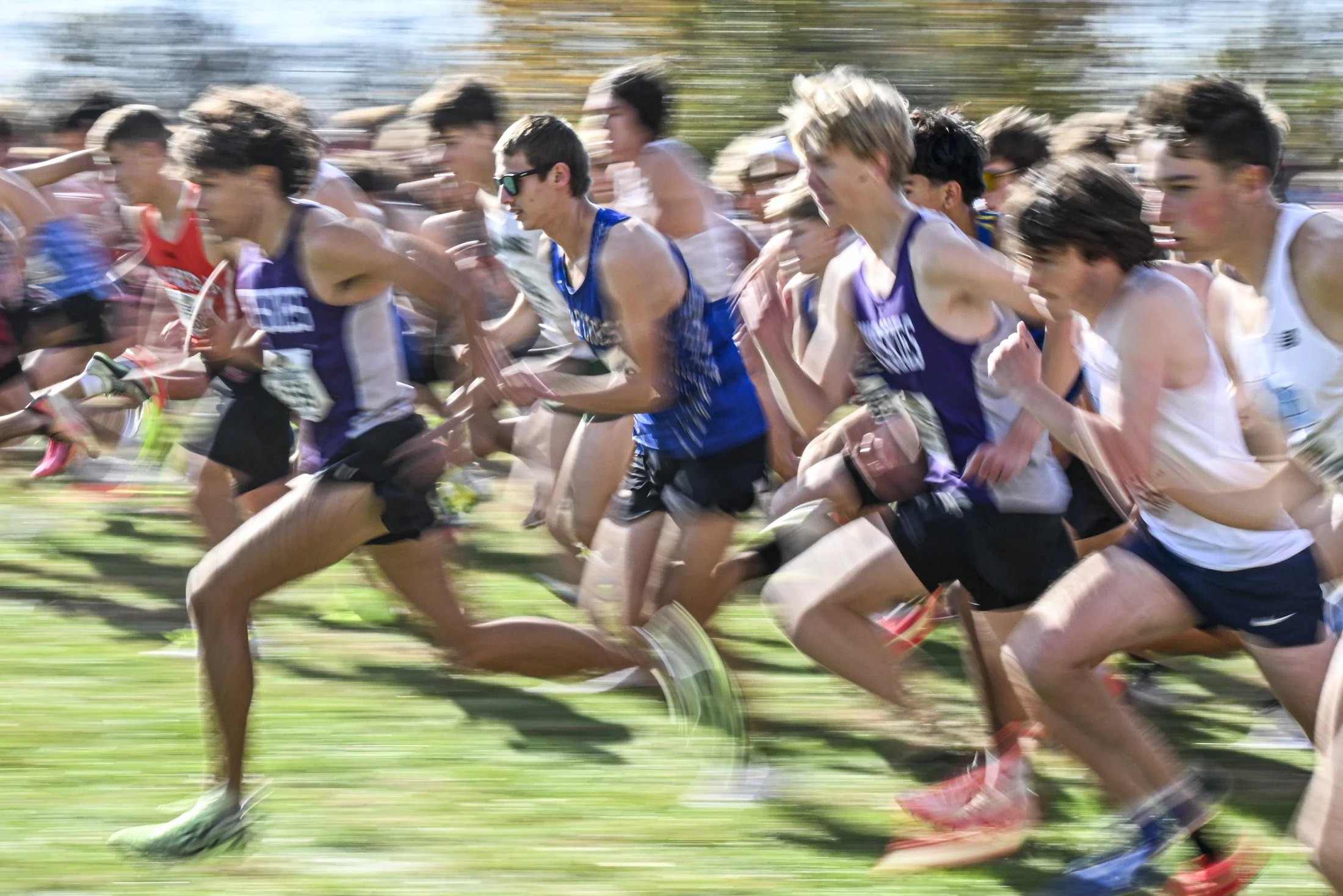 Travis Furmanski, in royal blue, at the start of the AAA boys race at the PIAA Cross Country Championship