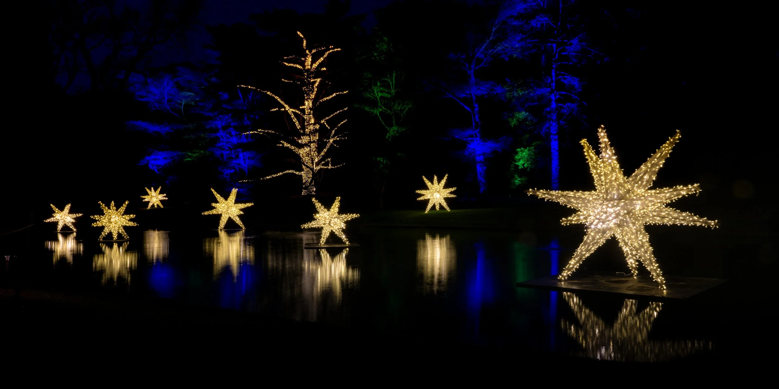 Lake reflections at A Longwood Christmas 2025