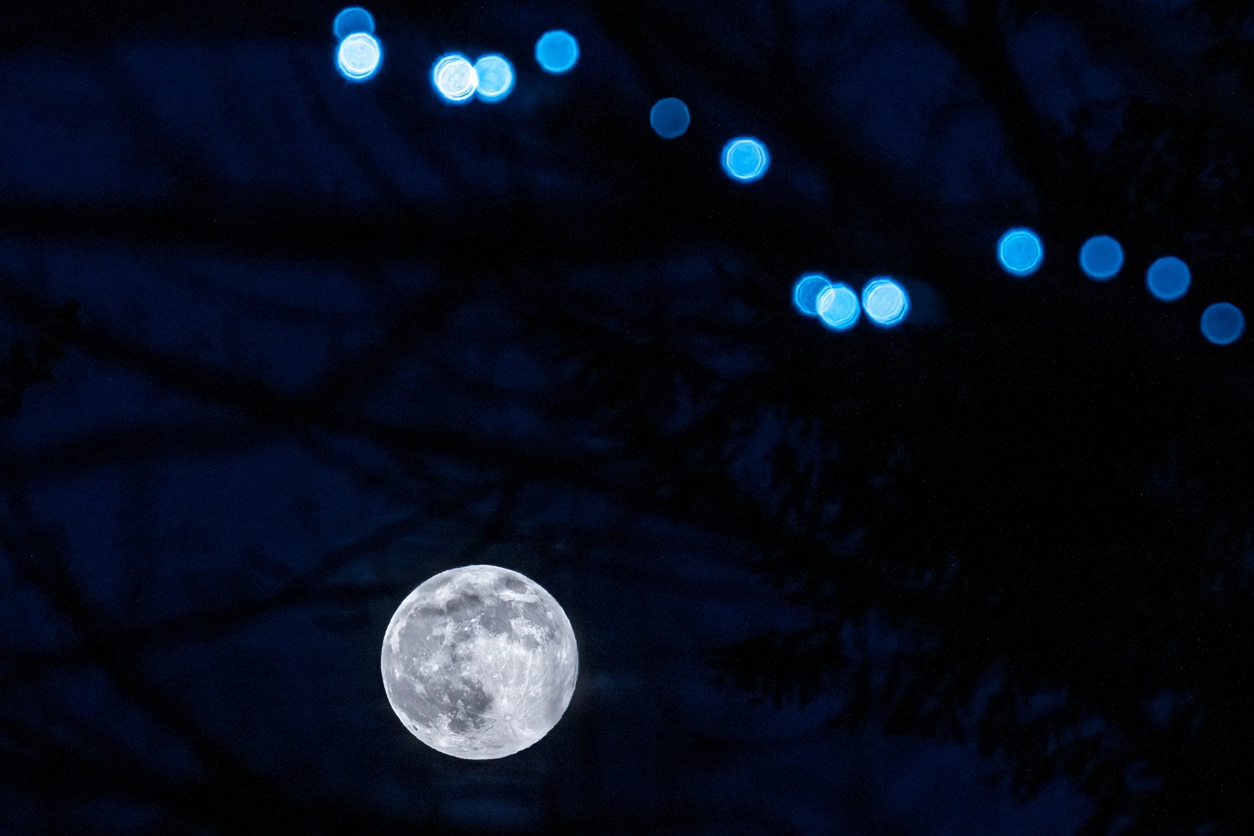 A super moon with blue LED Christmas Lights at Longwood Gardens