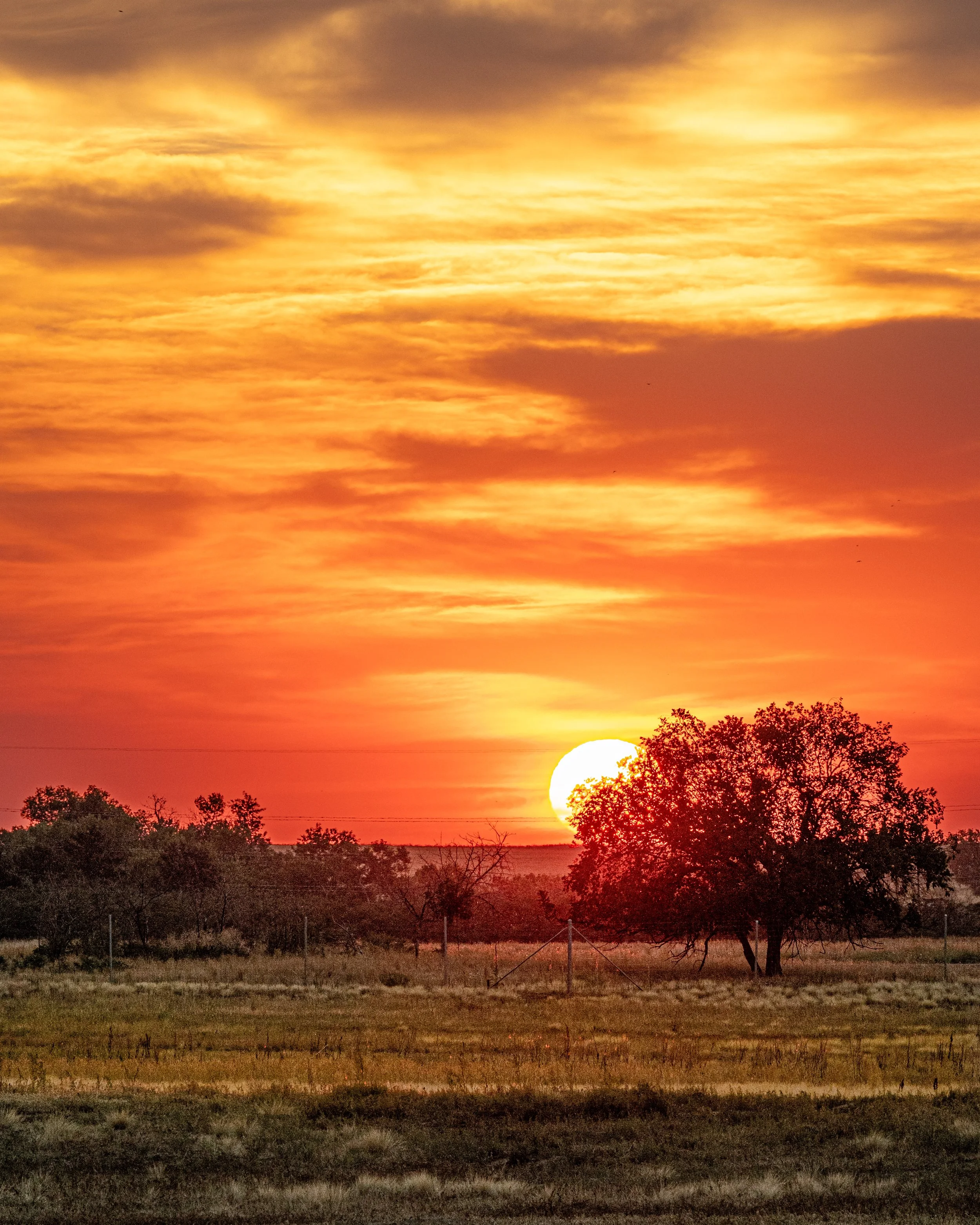 colorado prarie sunrise - insta-7.jpg
