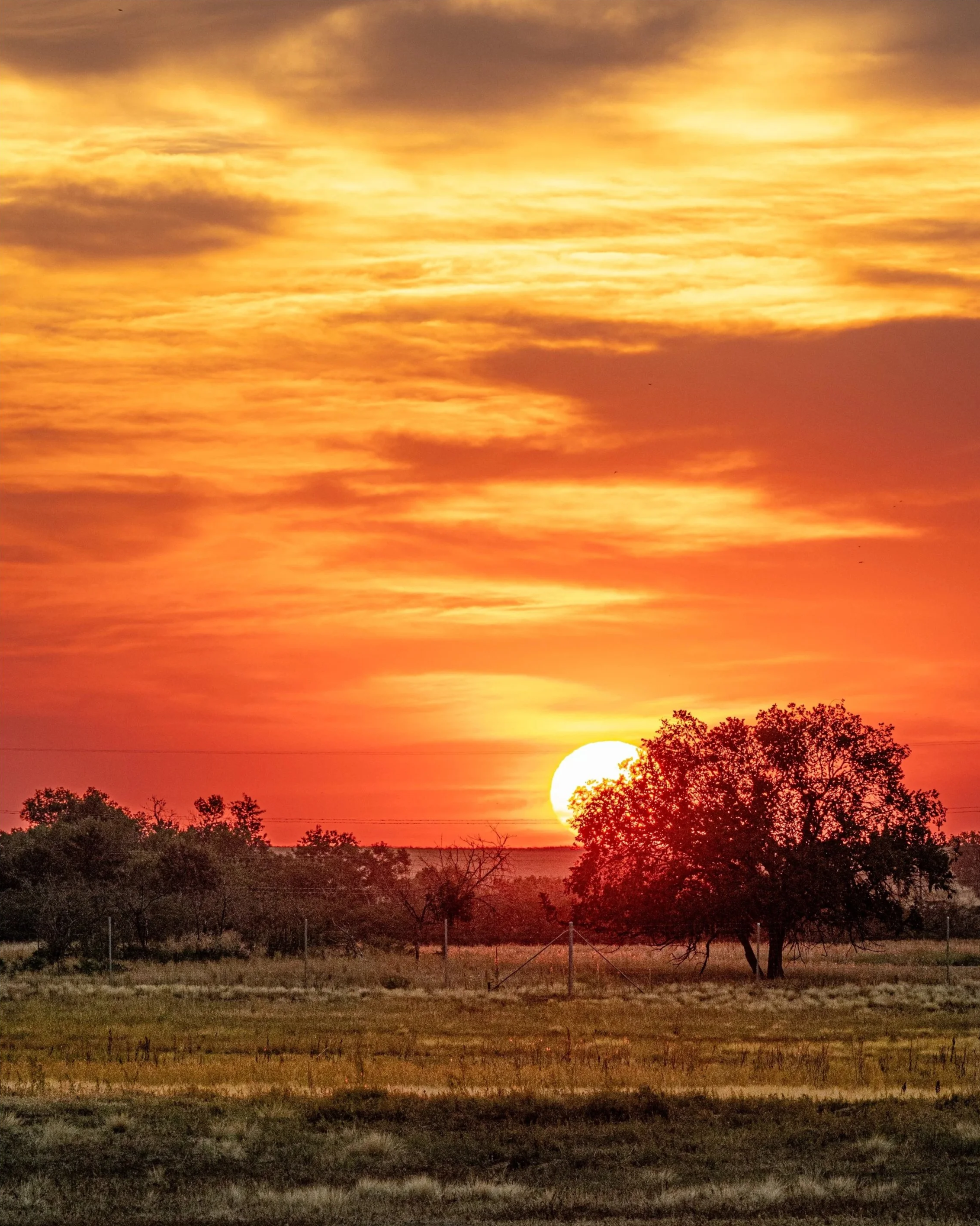 Sunrise over Wildlife Drive