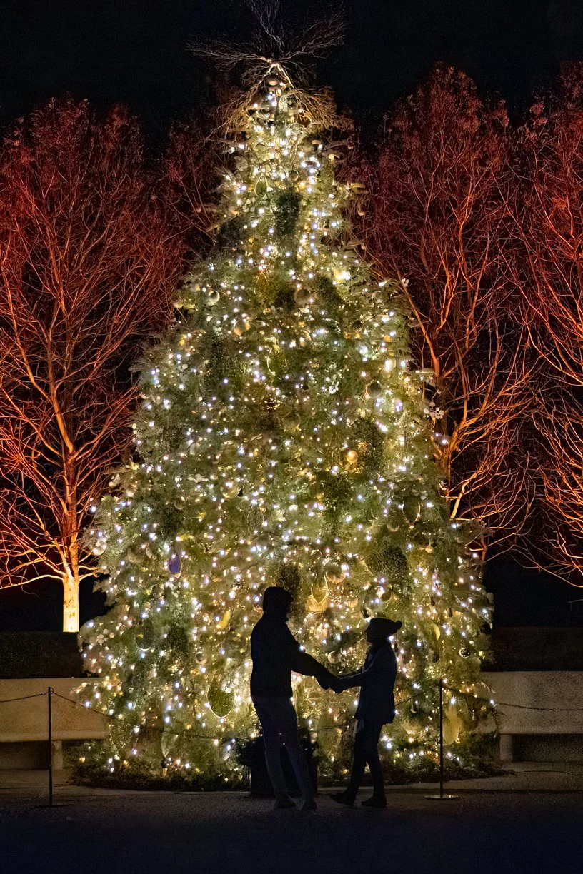 A couple dances in front of the Longwood Gardens Holiday Tree in 2022