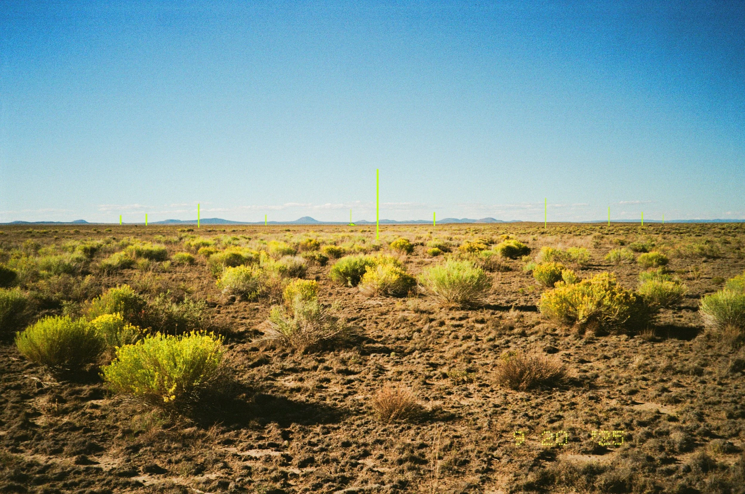 image00008.jpeg