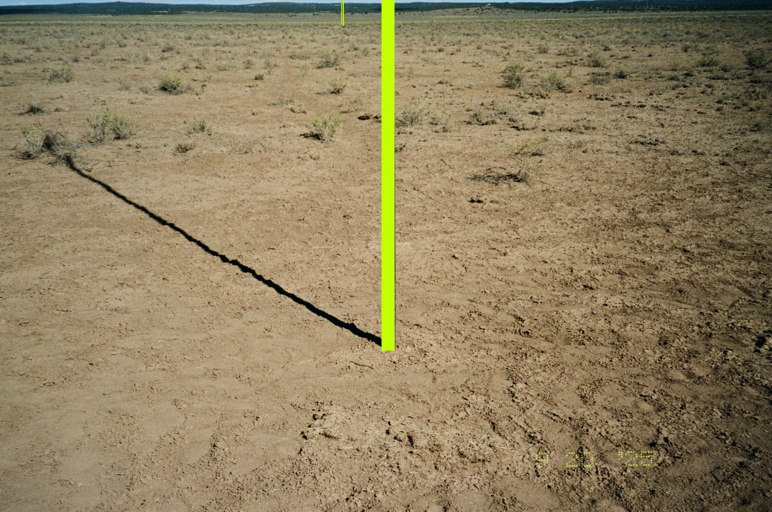 image00009.jpeg
