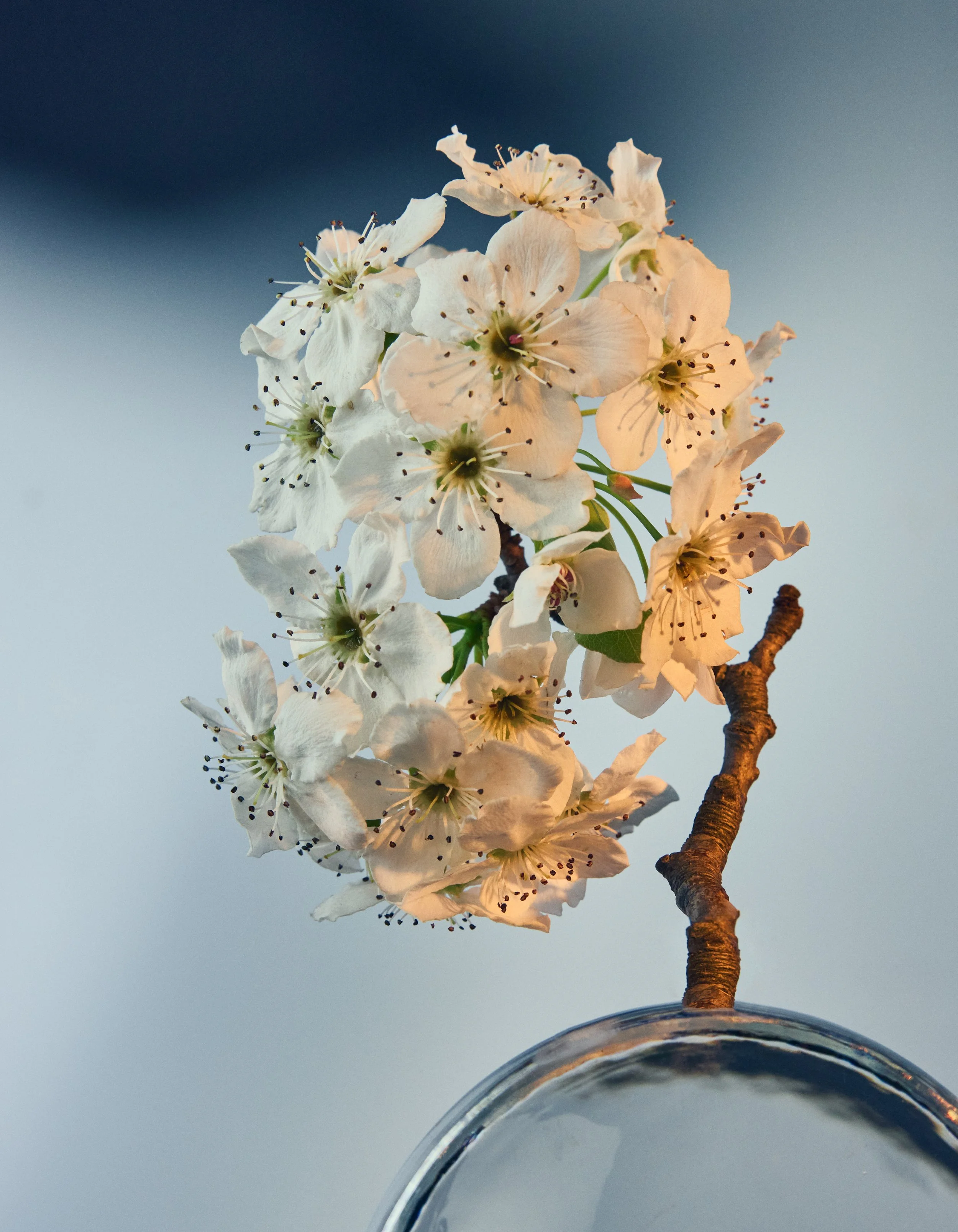 250319_EtemRuhi4425 copy.jpg