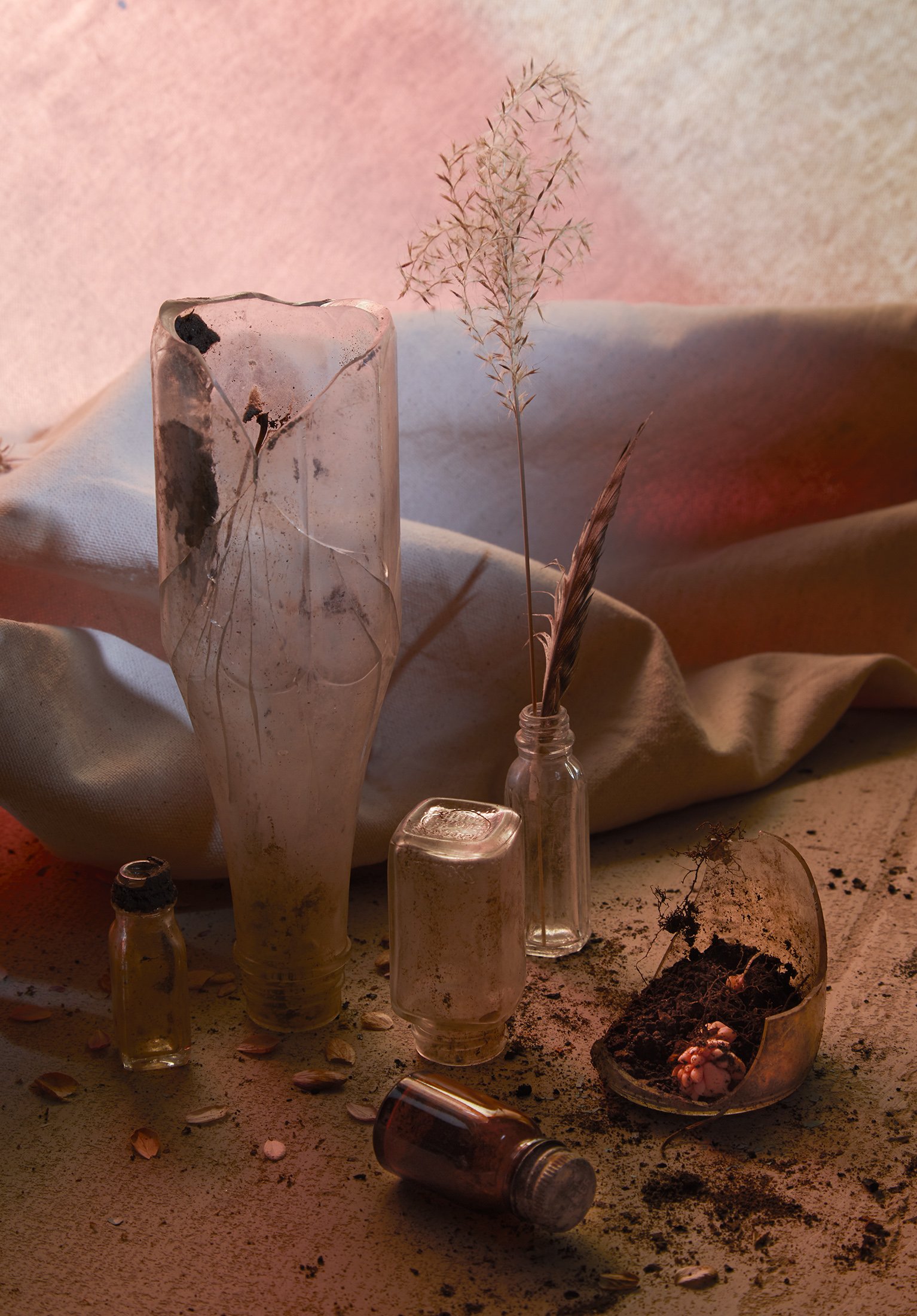 BackyardJournal0328201469 copy.jpg