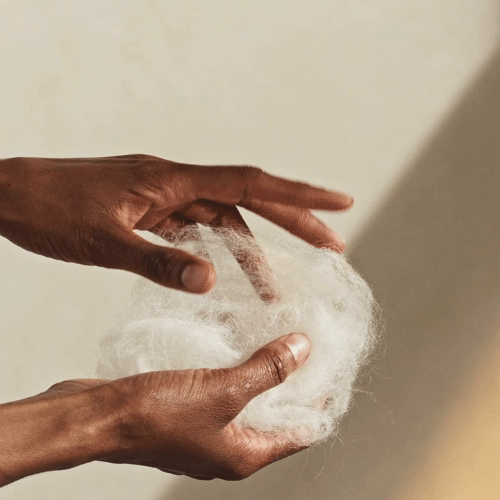 Wool-Pool-BB.gif