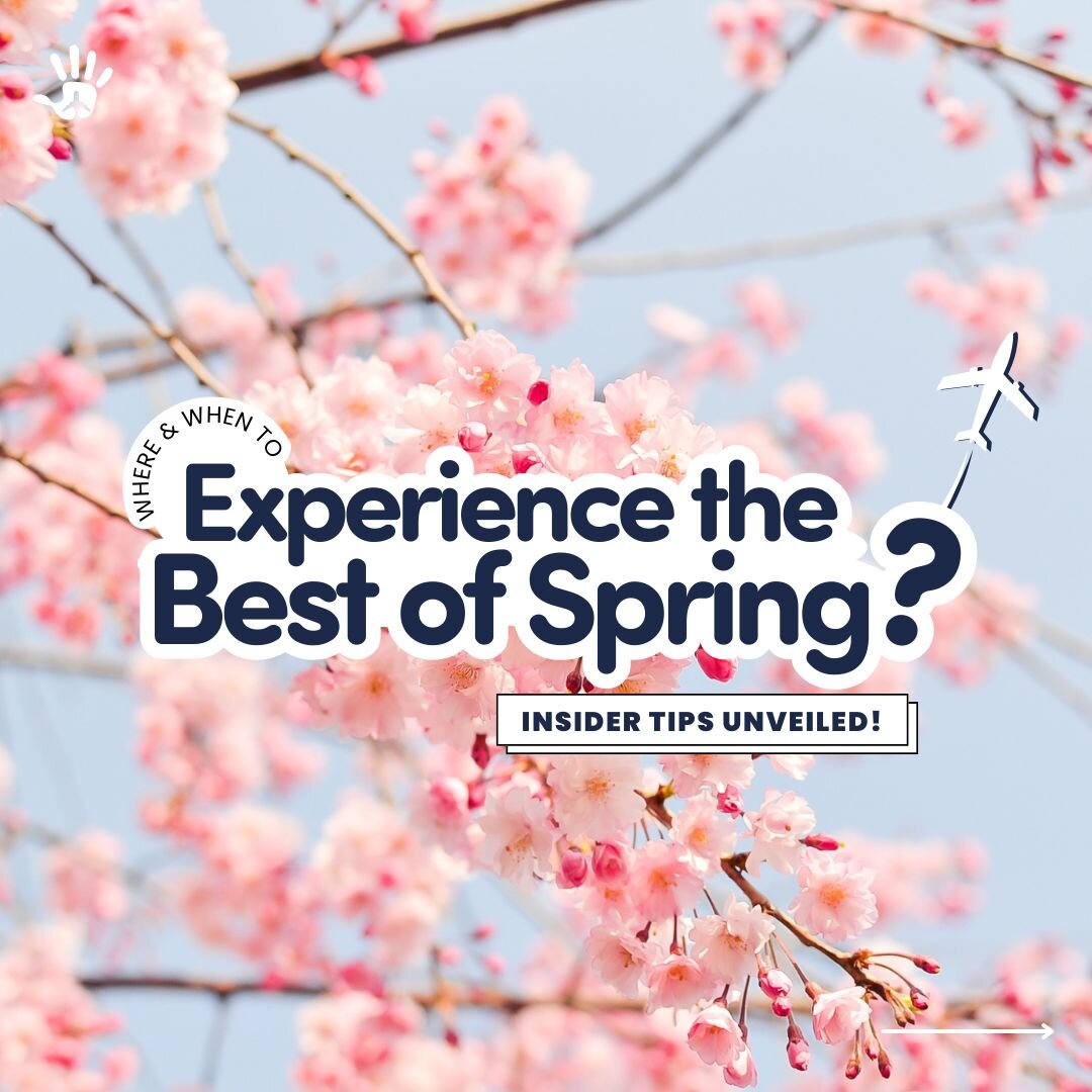 🌸 READY TO EXPERIENCE THE BEST OF SPRING? PLAN YOUR GETAWAY WITH OUT INSIDER TIPS! 🪻
Explore the beauty of spring with our insider tips and recommendations for the best destinations to visit during this magical season. From vibrant flower festivals