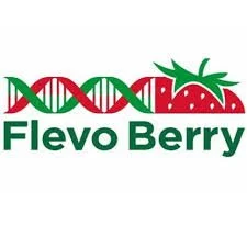 FLEVO BERRY