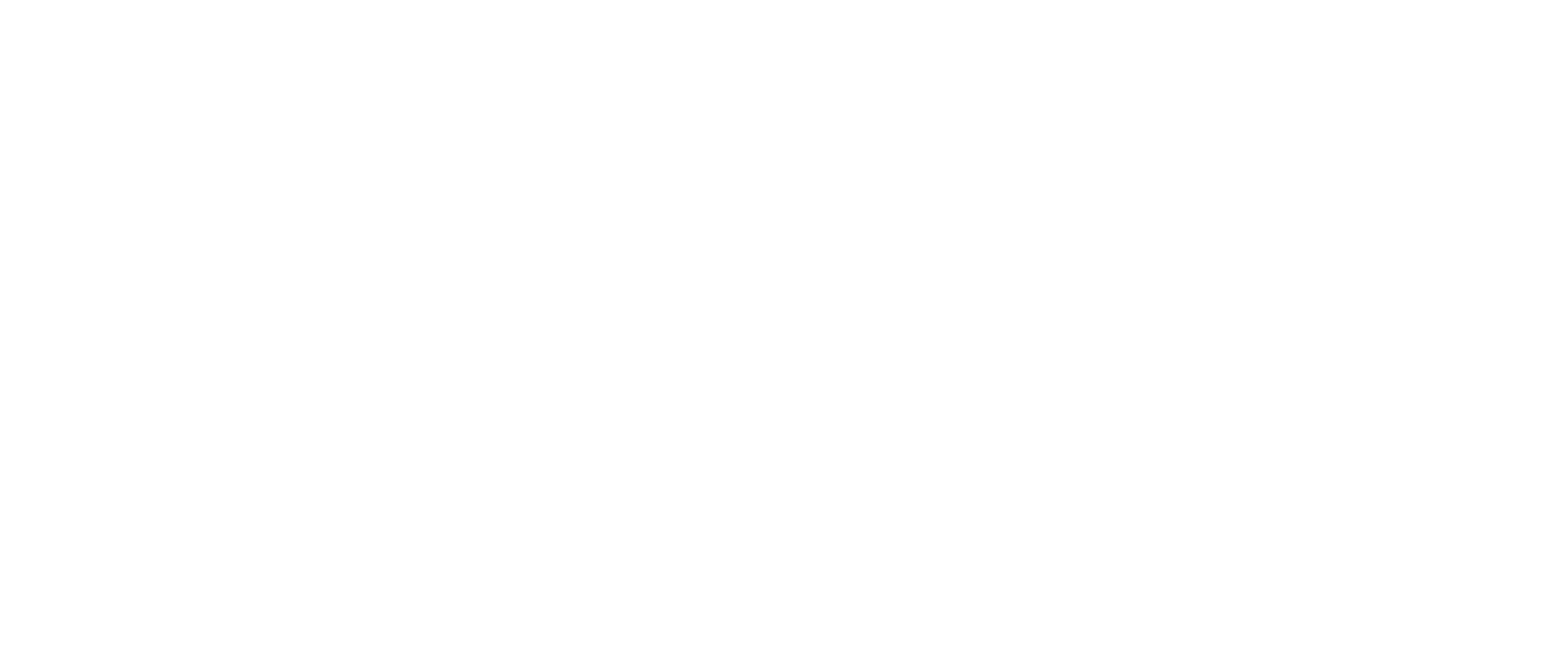 SNS Logo