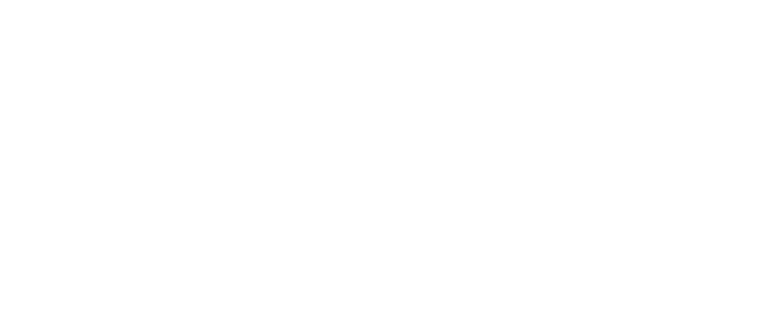 Special Needs Services of Ray County