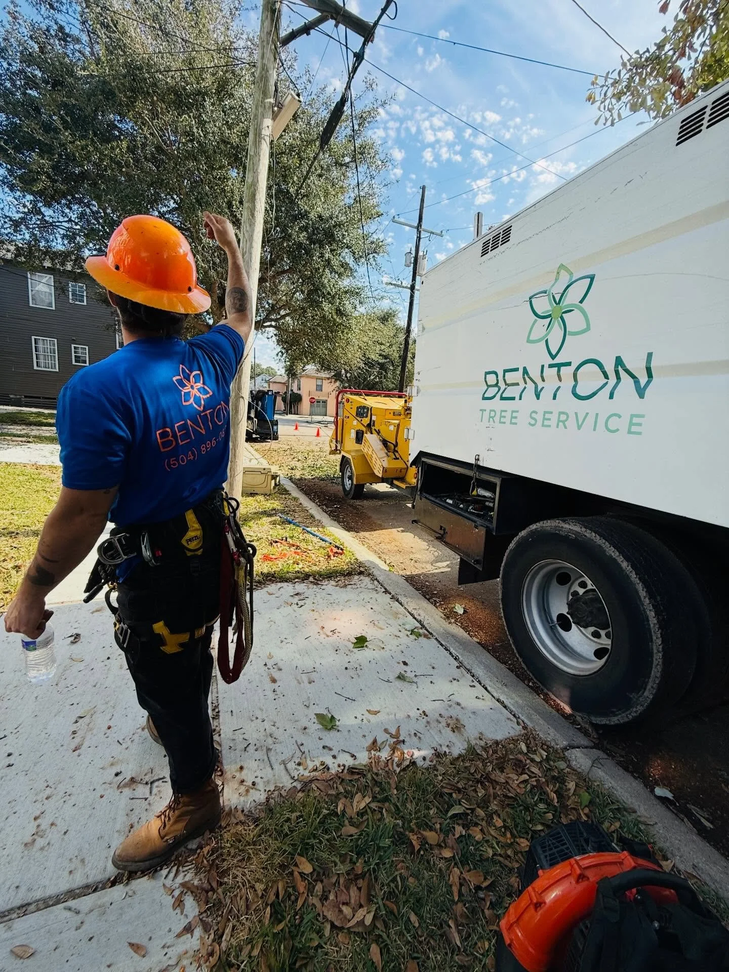 we&rsquo;re dreaming of warmer weather ☀️🌳 hope everyone stays warm and cozy this weekend! 

#bentontreeservicenola #nolatreeservice #treetrimmingnola