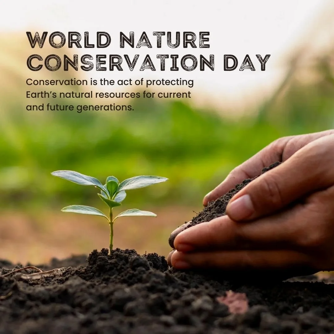 On World Conservation Day, we celebrate the incredible importance of trees in our environment. Trees not only beautify our world but also sustain life by cleaning the air and providing habitats for local wildlife. 🌿🌳