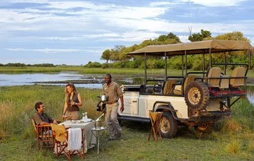 1-Day Tanzania Safari