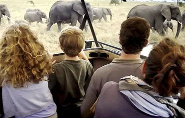 8-Day Family Safari