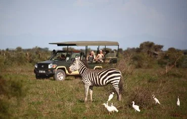 11-Day Safari (Northern Circuit)