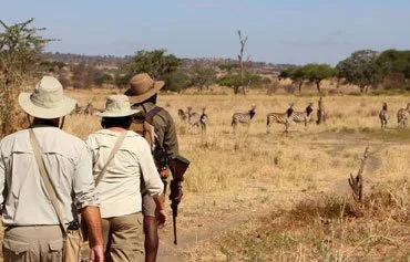 12-Day Walking Safari