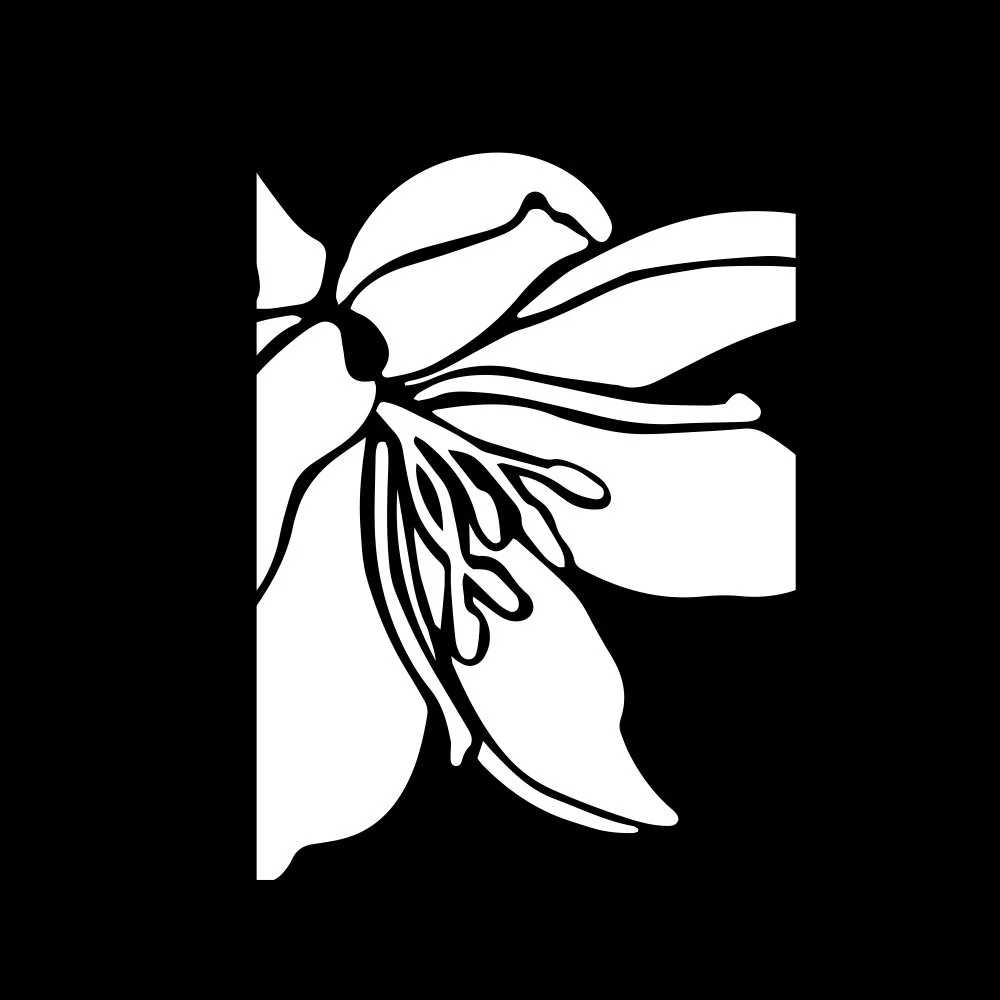 More Room: Development Campaign
