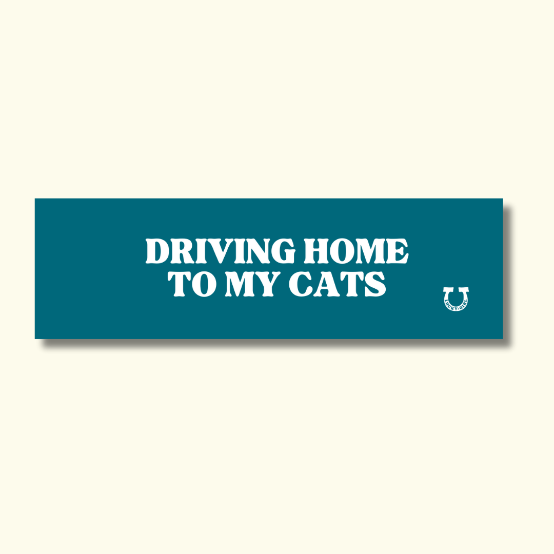 DRIVING HOME TO MY CATS