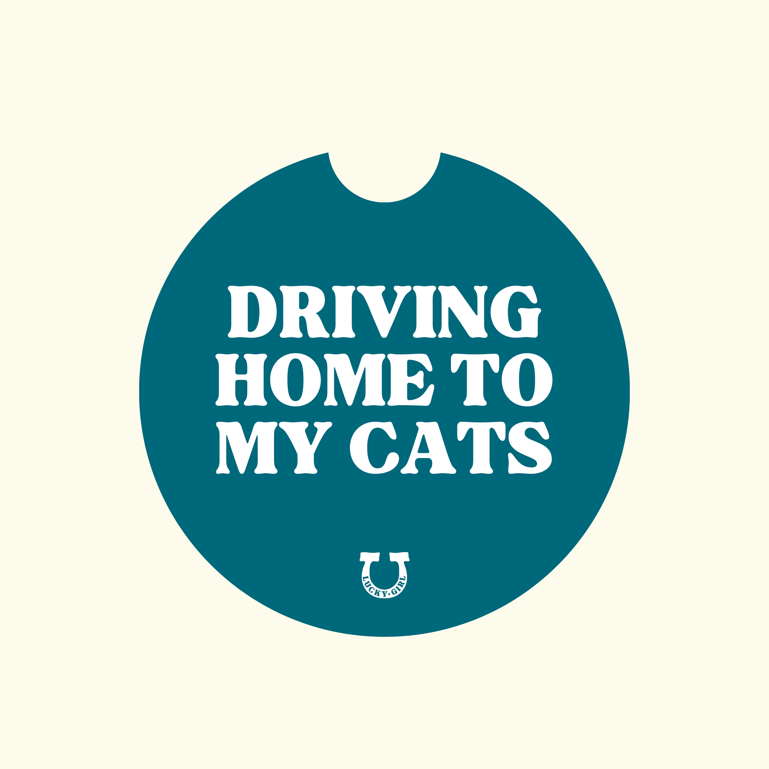 DRIVING HOME TO MY CATS CAR COASTER