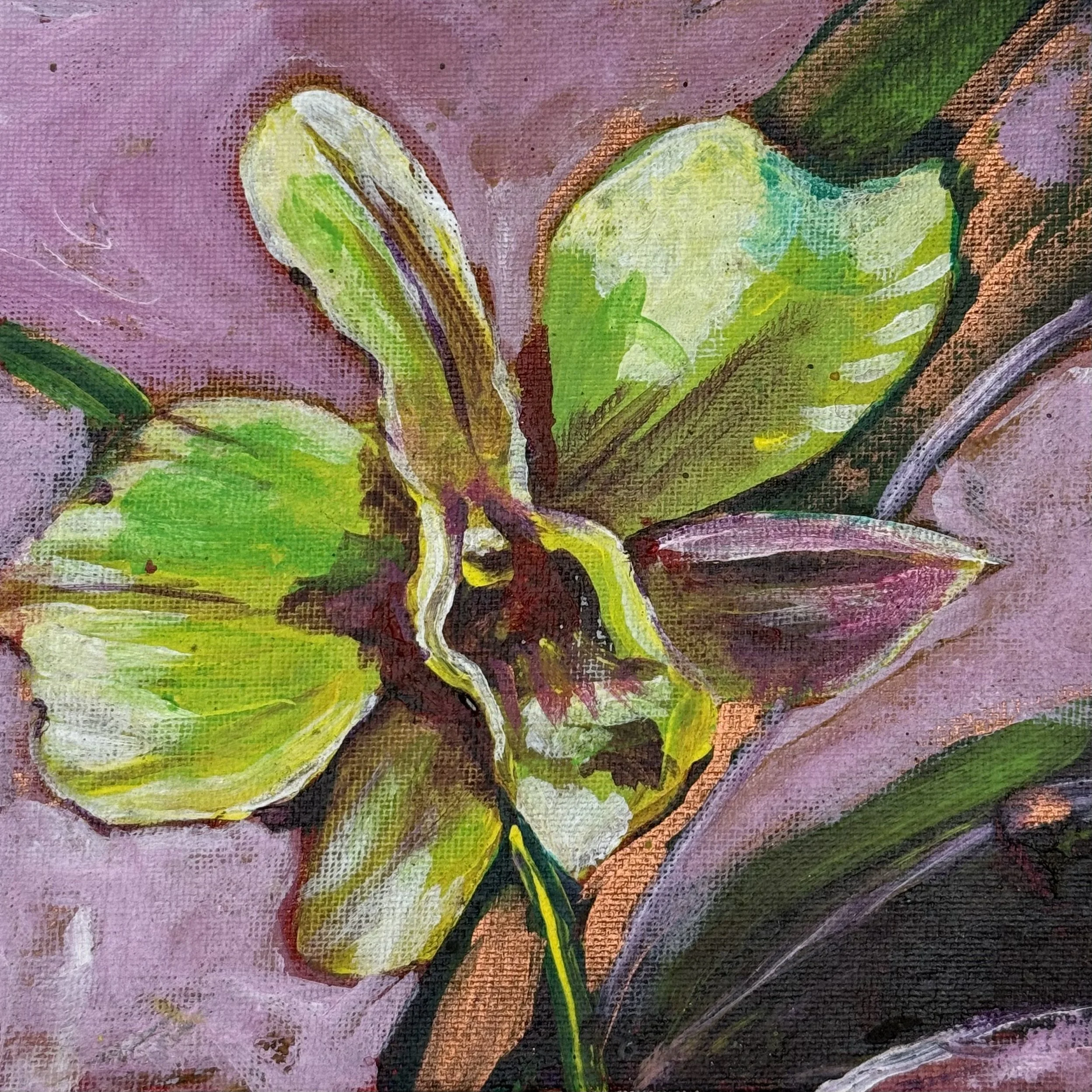 Wind Orchid #4