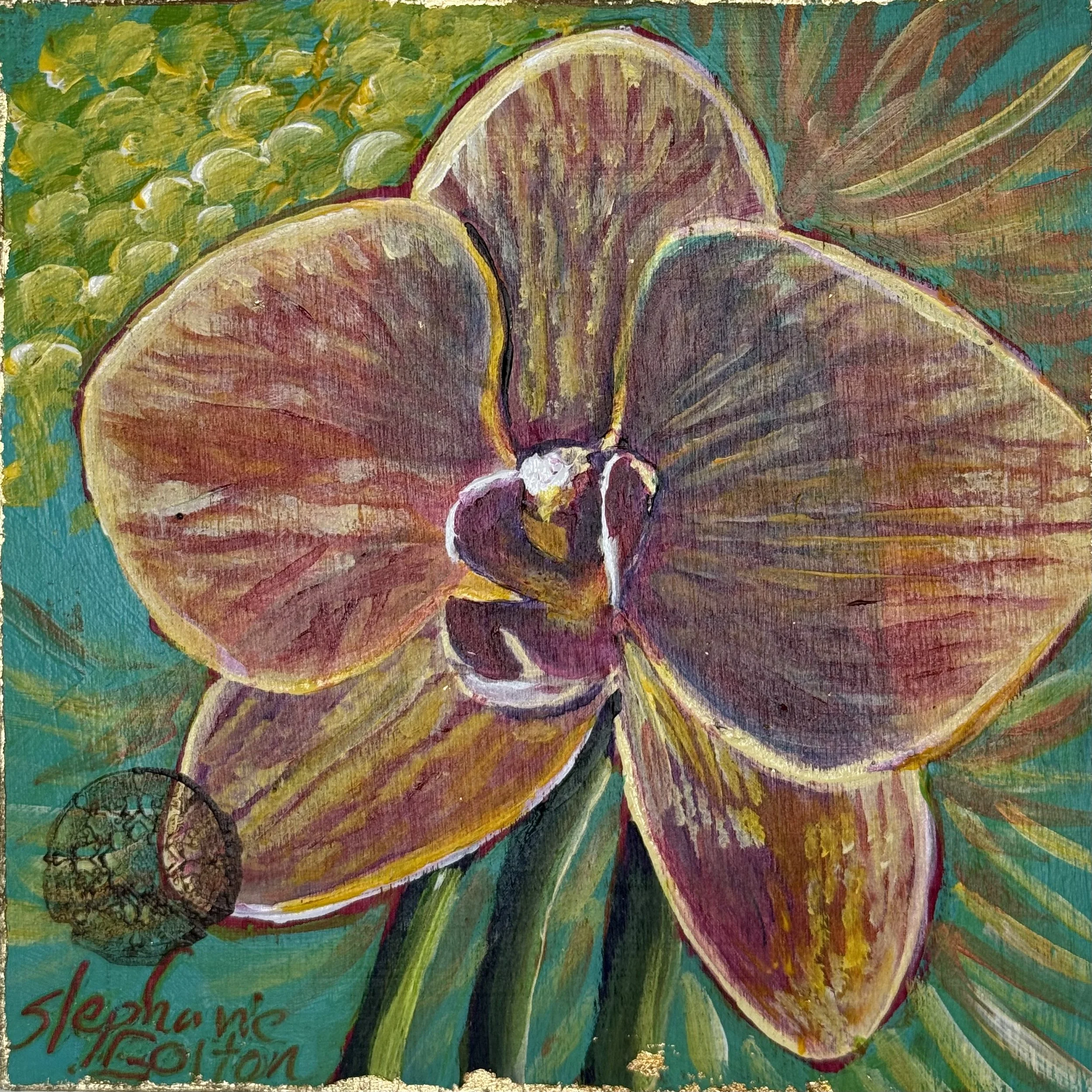 Dragonfly Orchid #3
