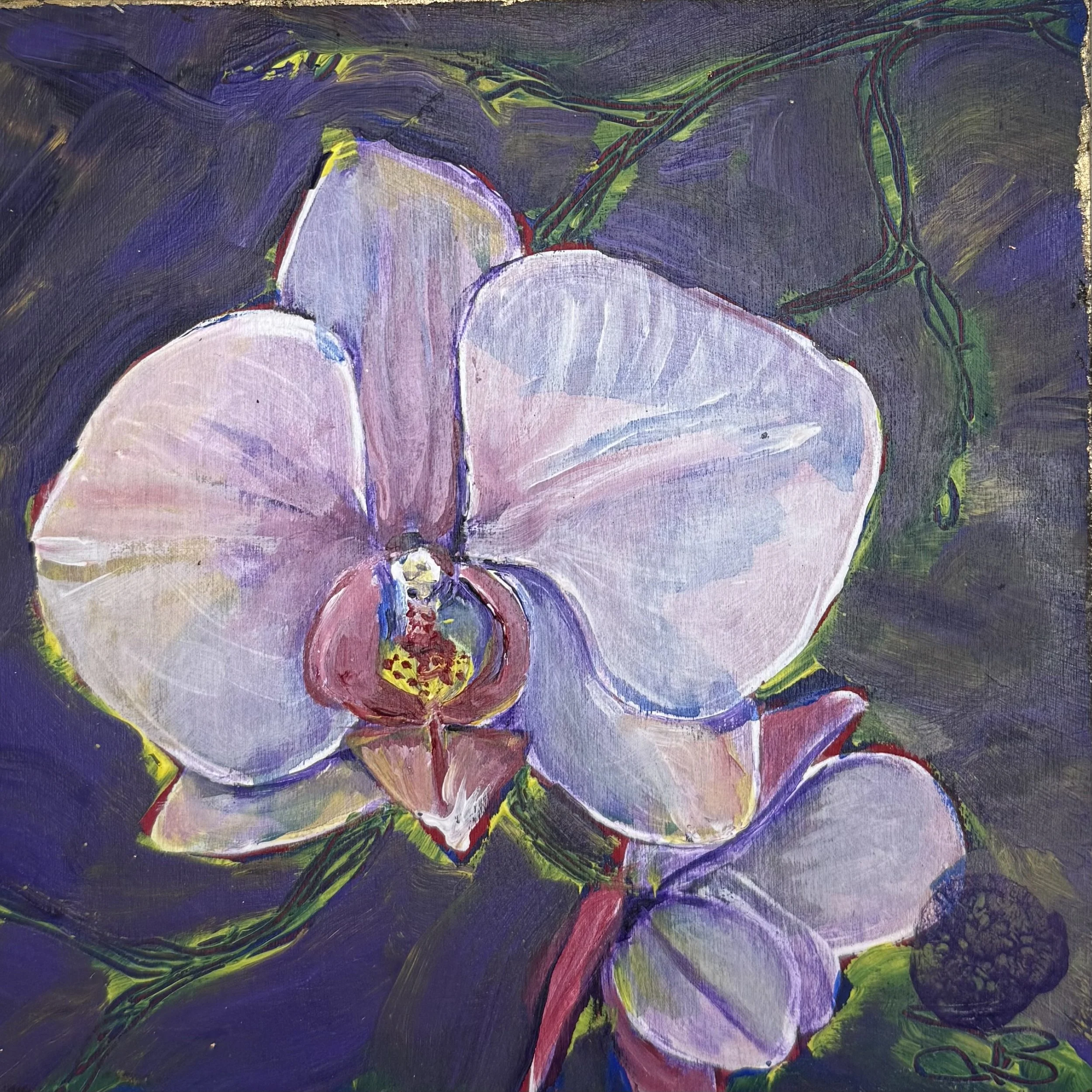 Midnight Orchid #6