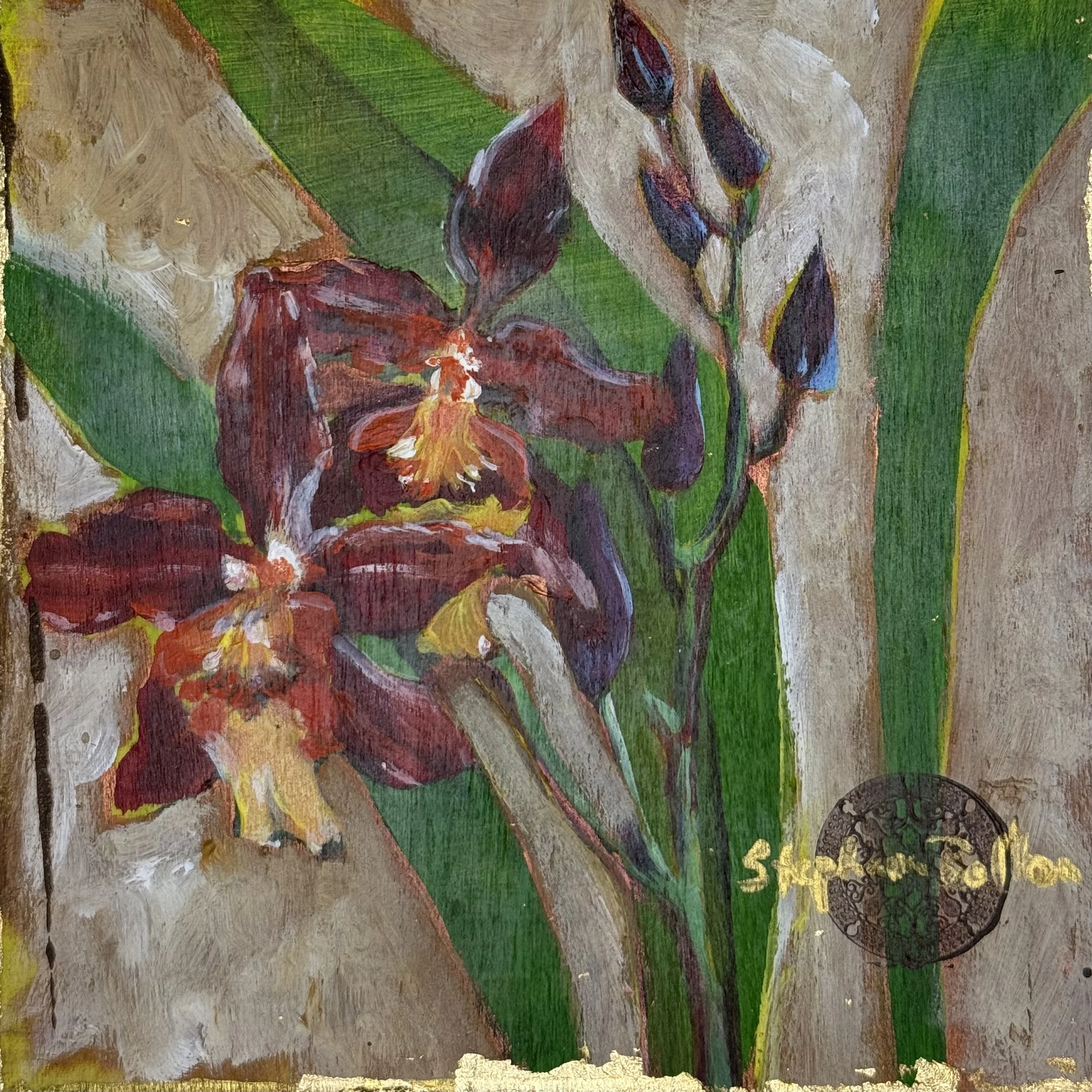 Wind Orchid #5