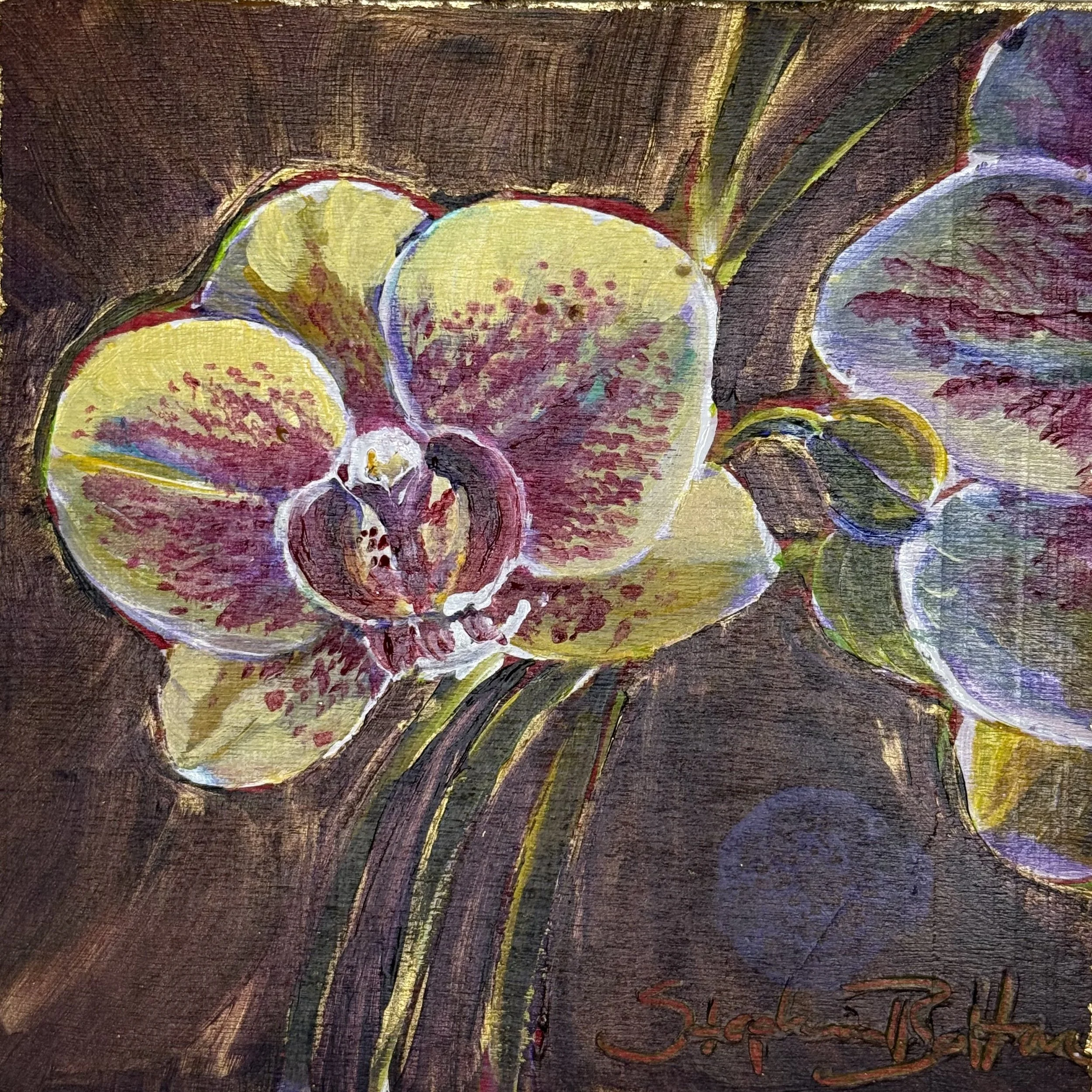 Midnight Orchid #10