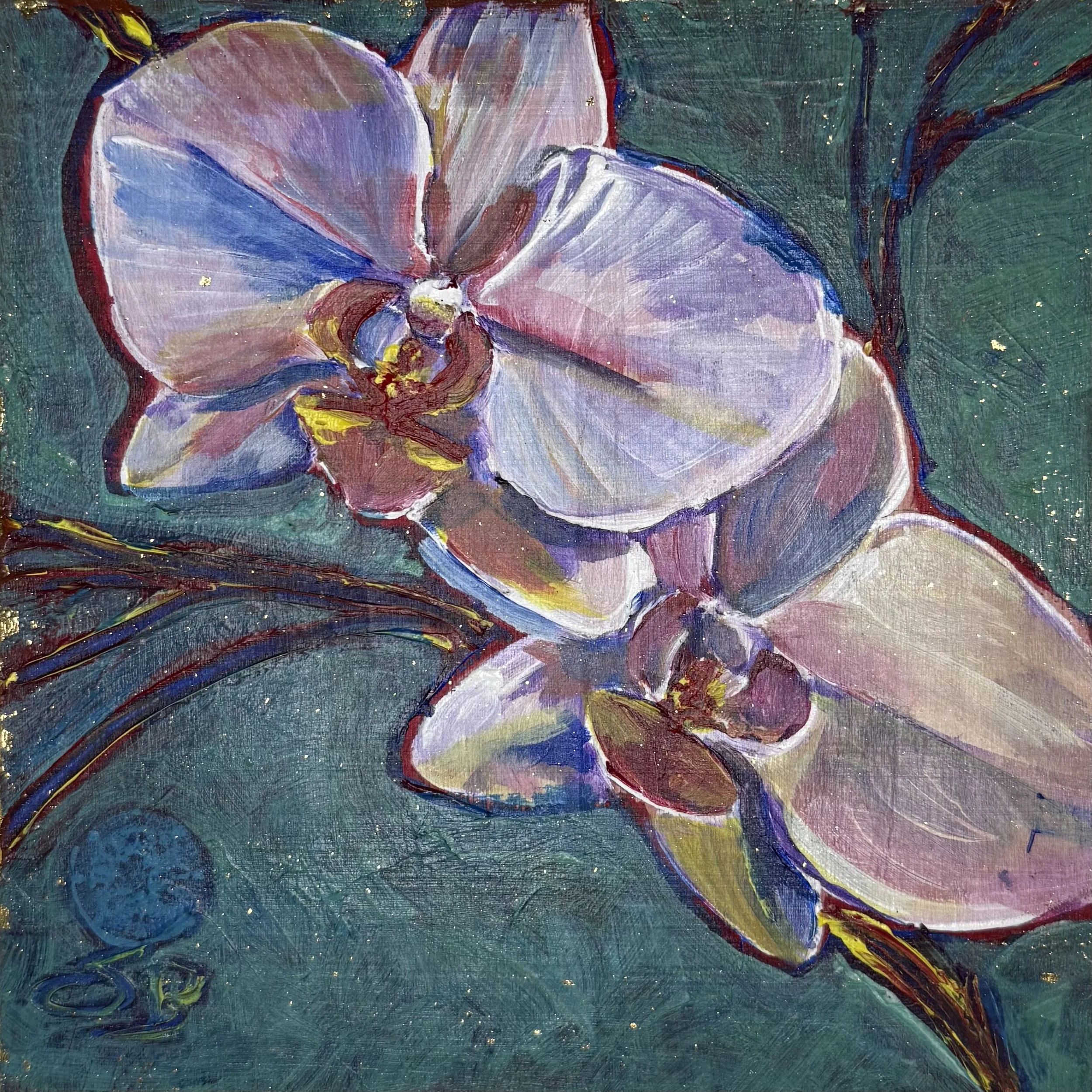 Dragonfly Orchid #7